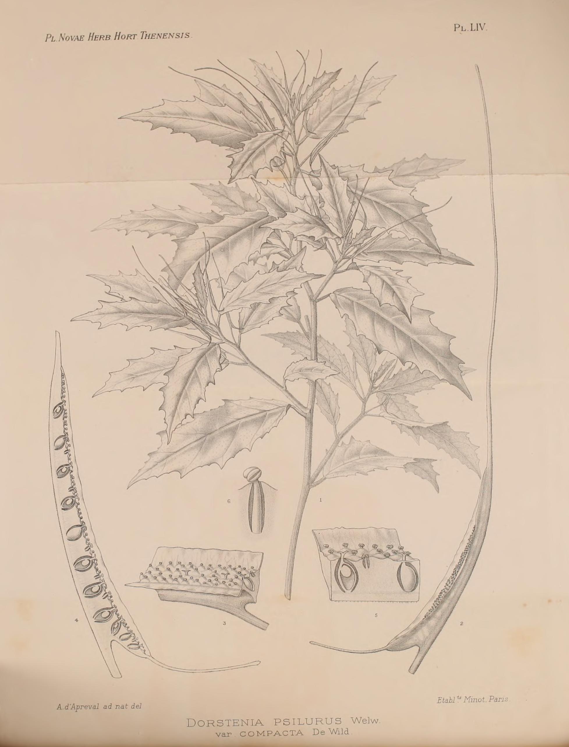 no full size  illustration available (3a)