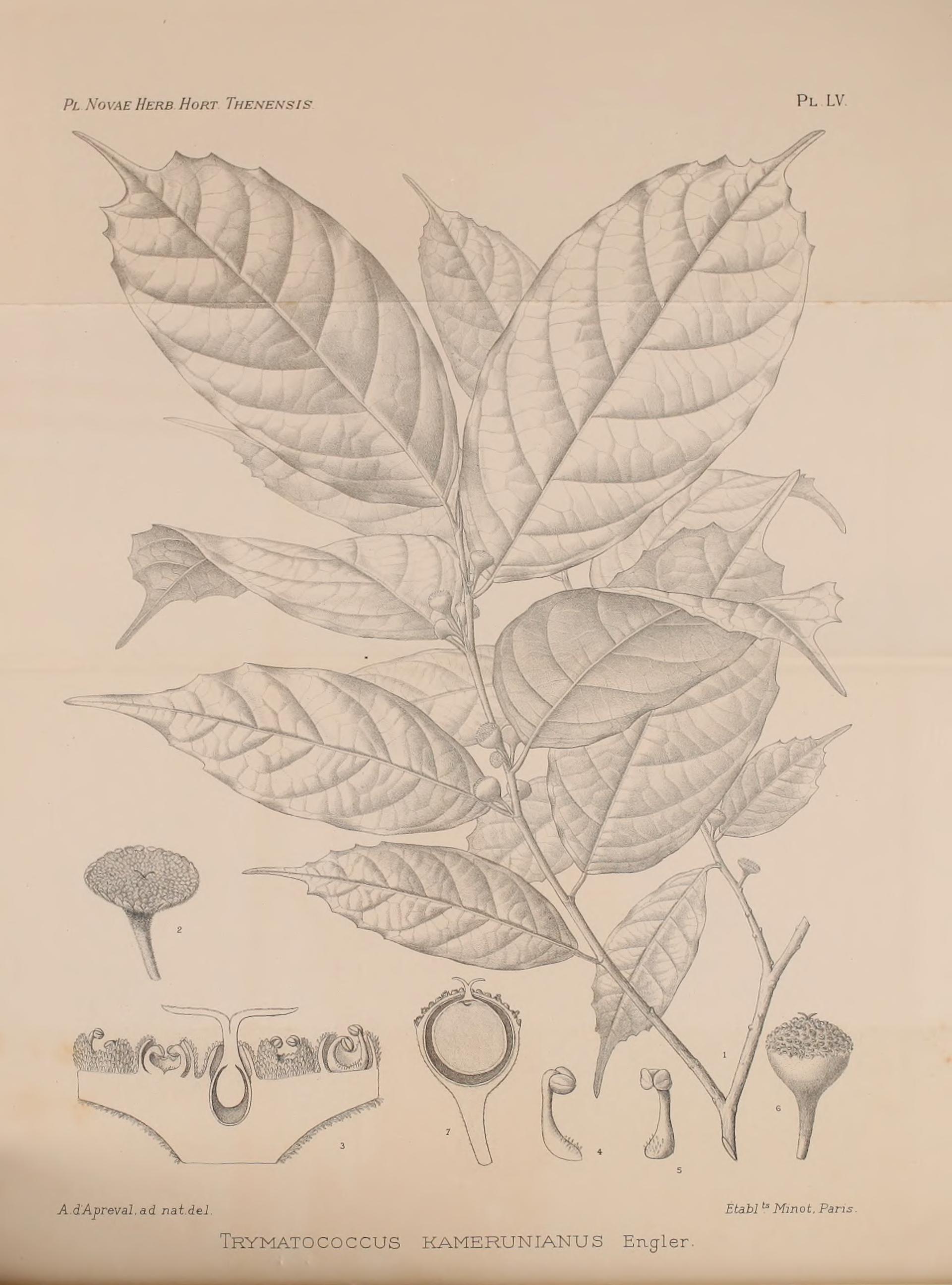 no full size  illustration available (3a)