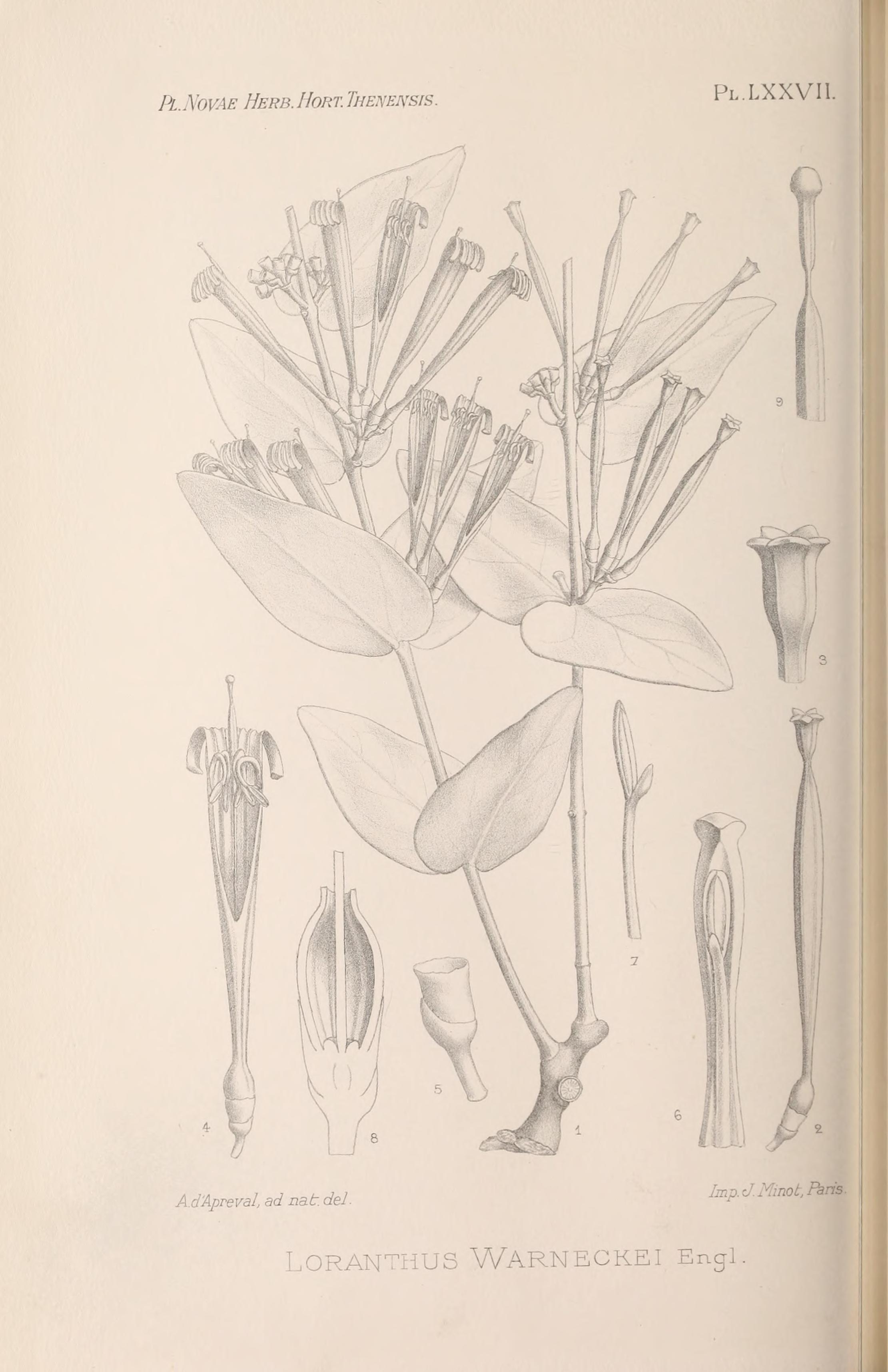 no full size  illustration available (3a)