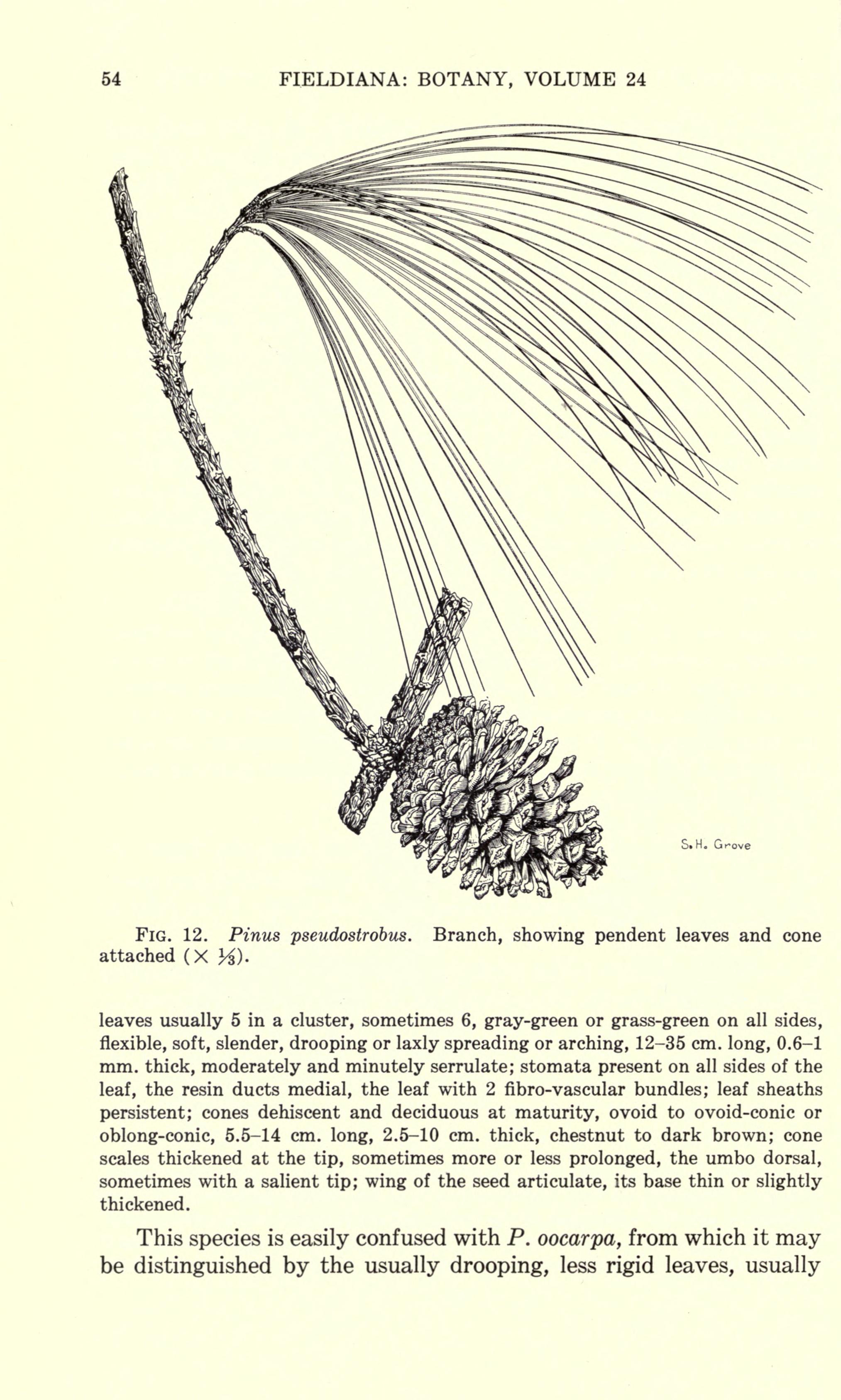 no full size  illustration available (3a)