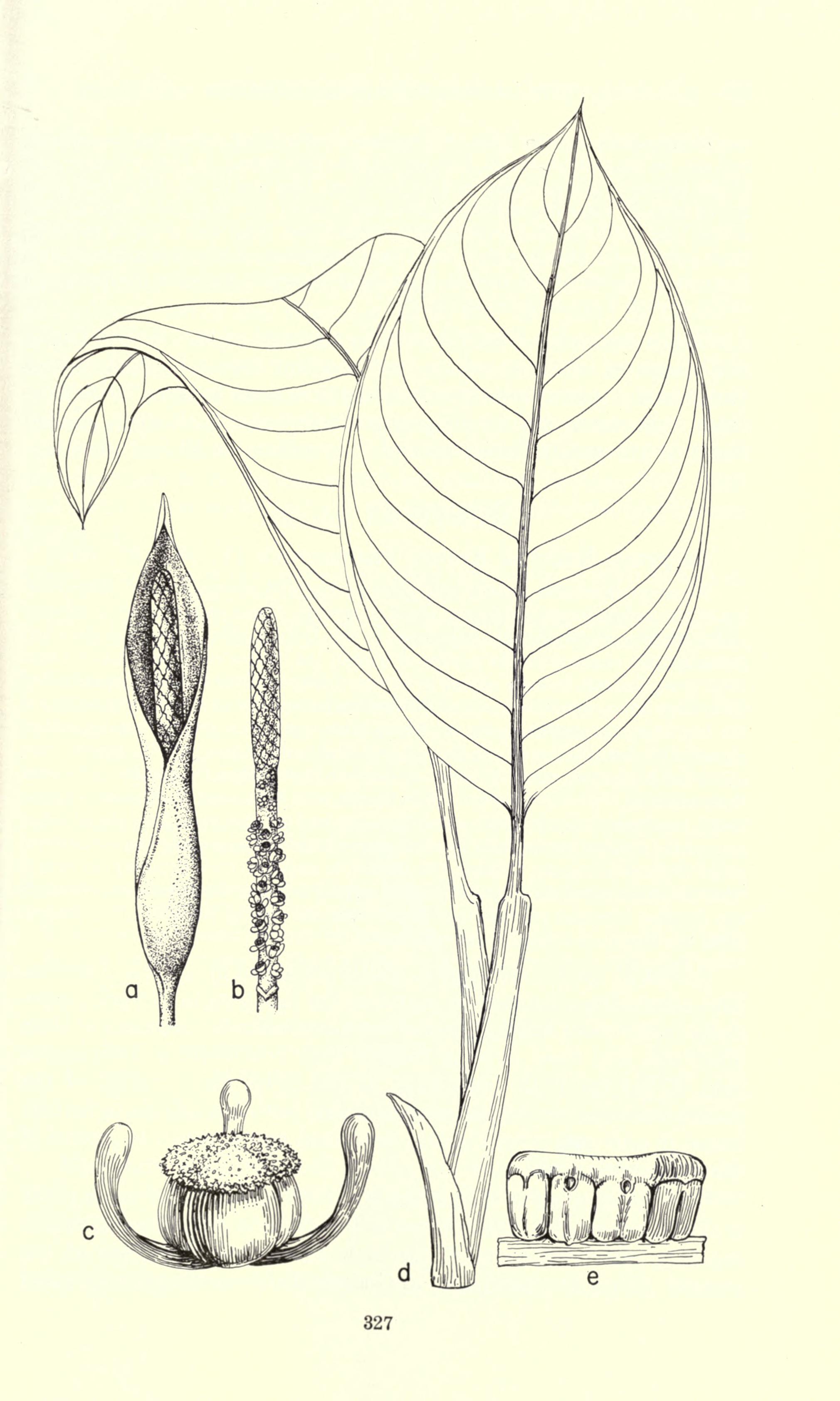 no full size  illustration available (3a)