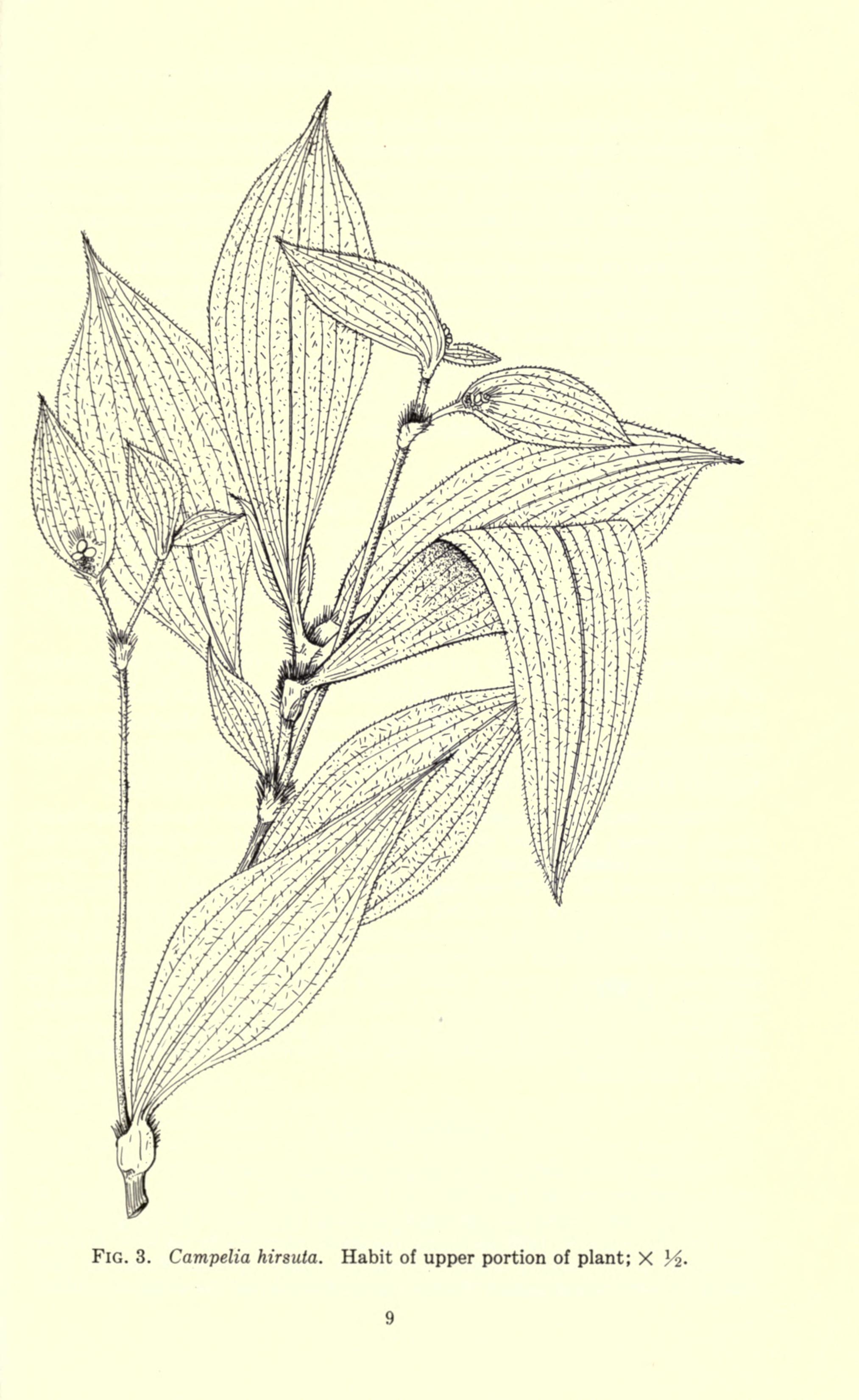 no full size  illustration available (3a)