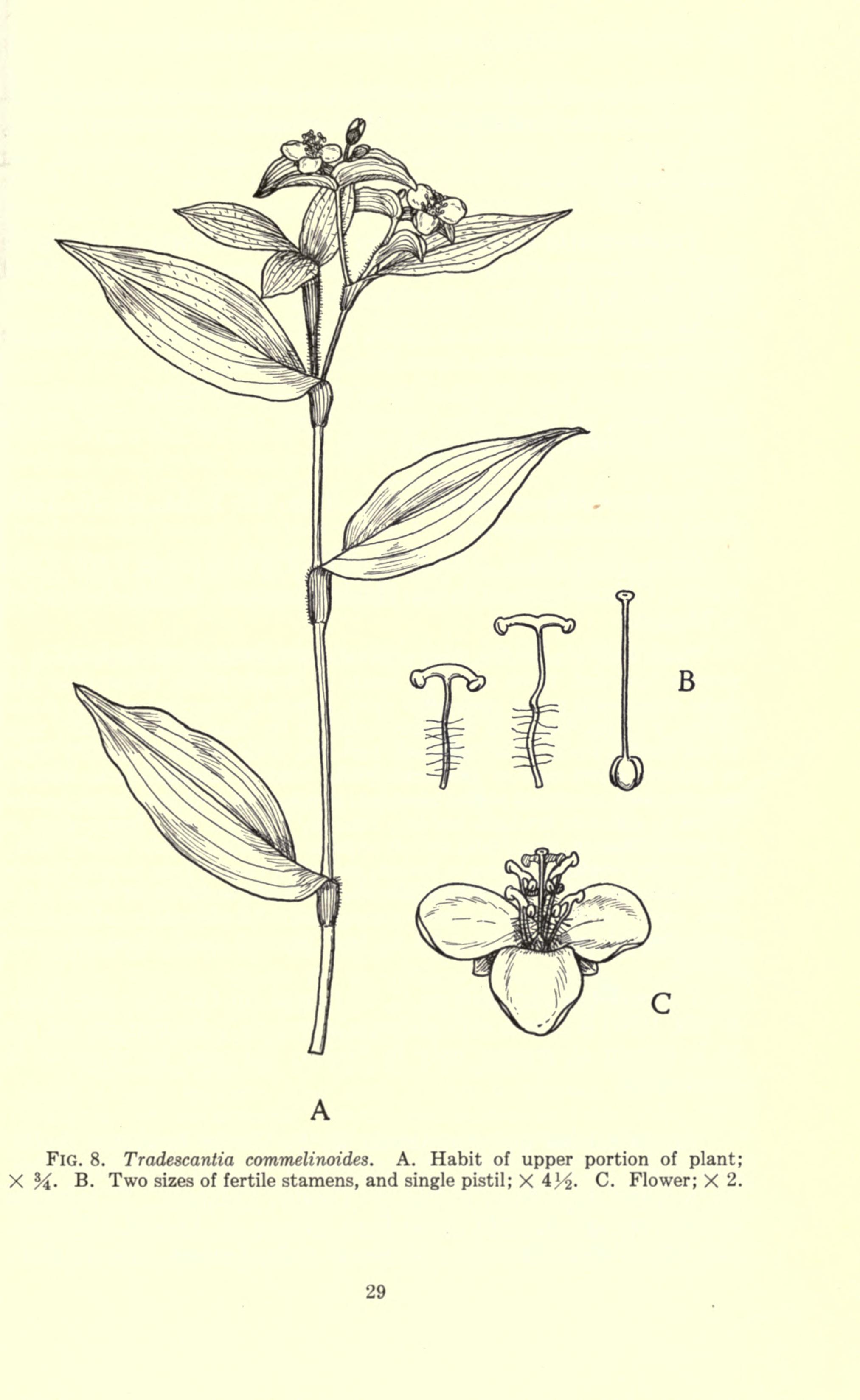 no full size  illustration available (3a)