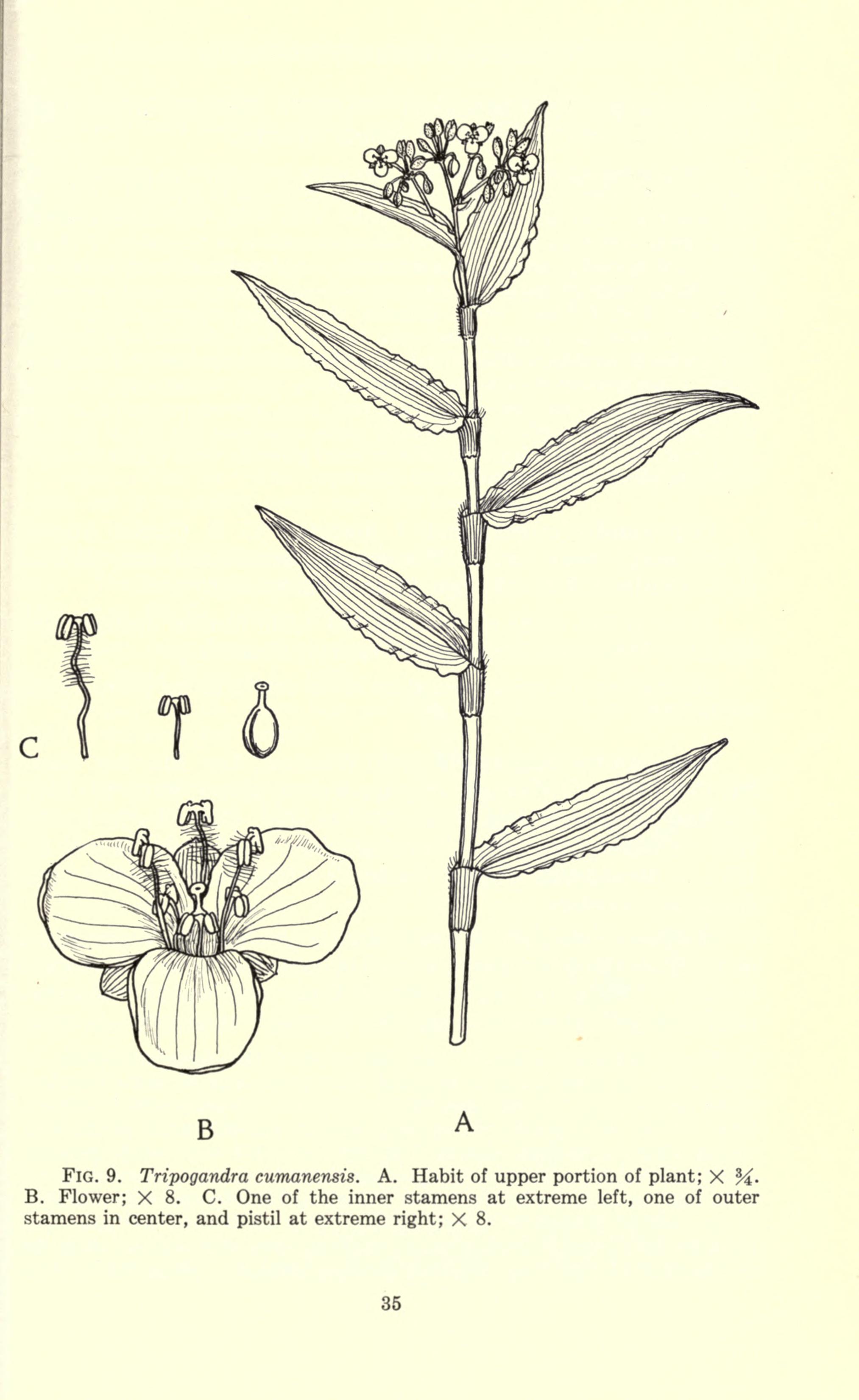 no full size  illustration available (3a)