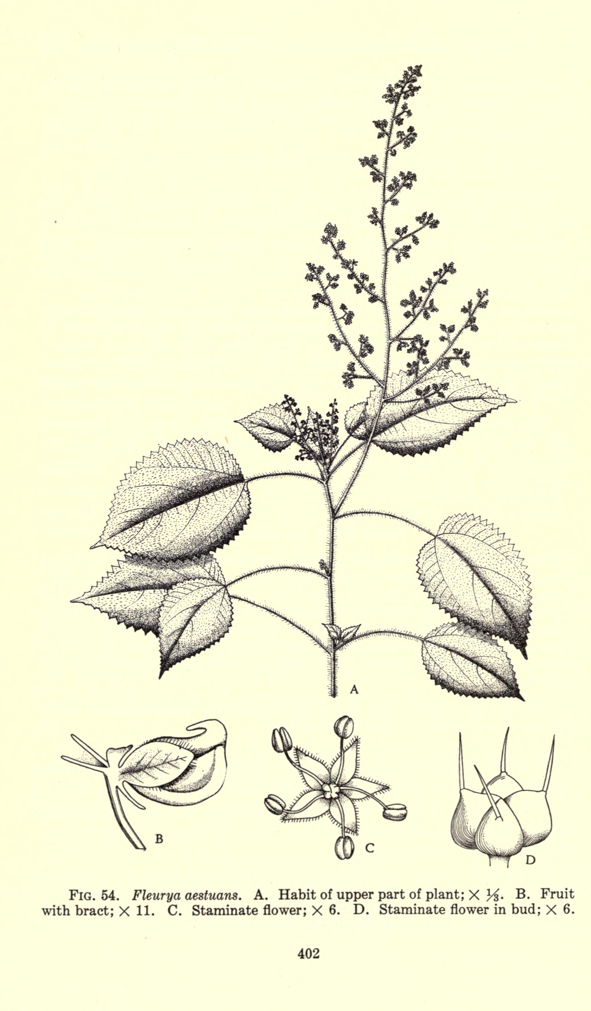 no full size  illustration available (3a)