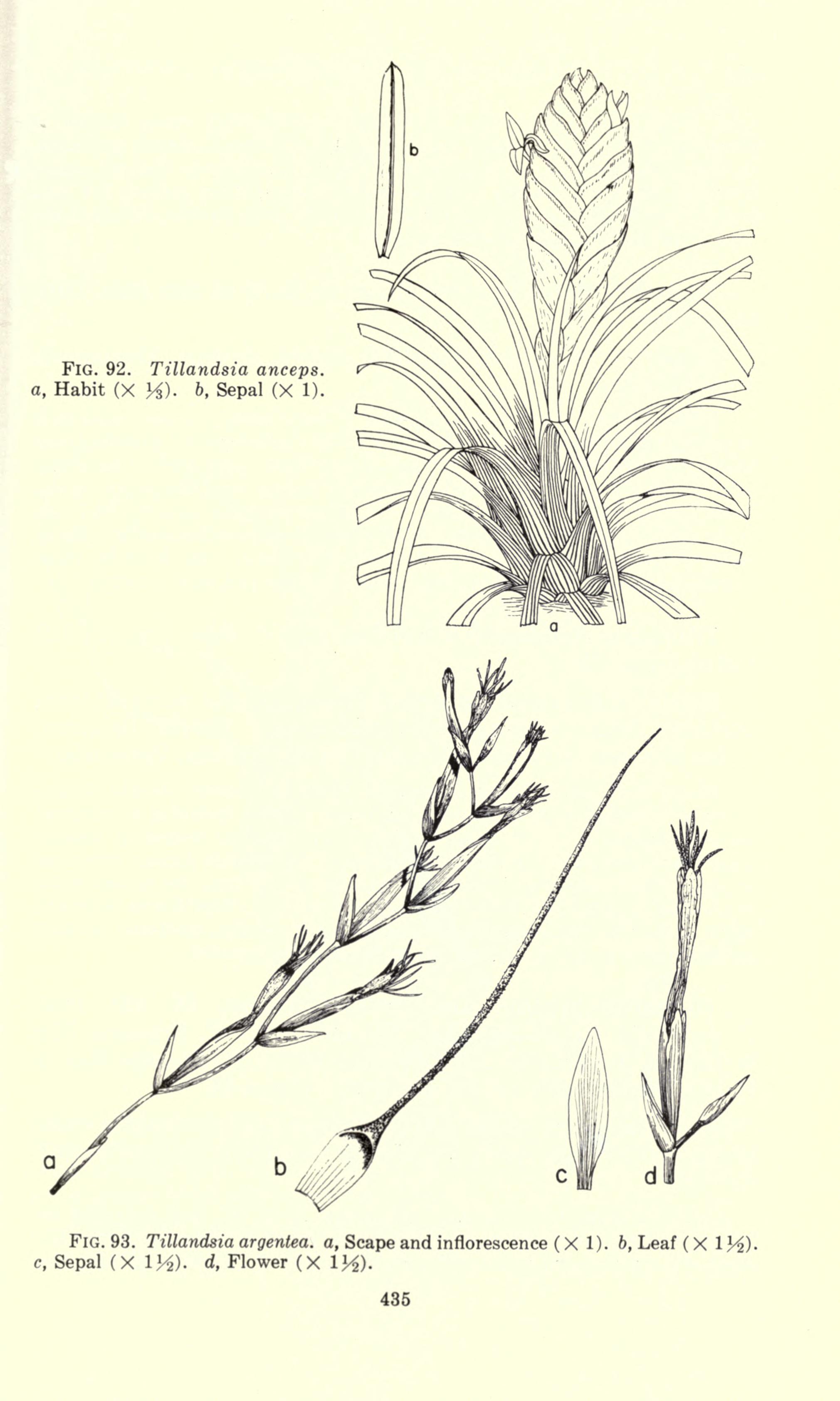 no full size  illustration available (3a)