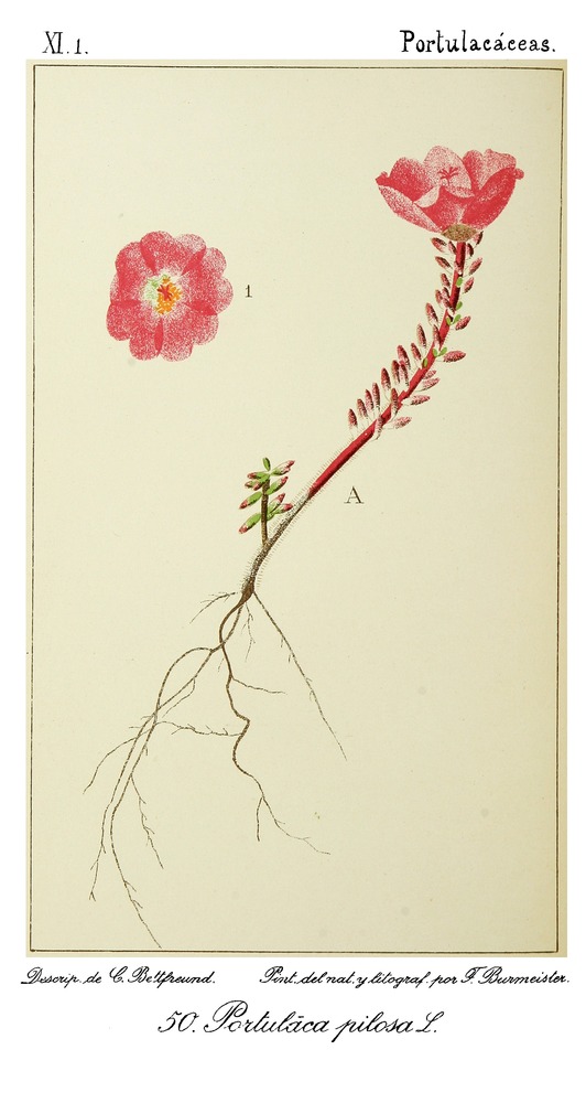 no full size  illustration available (3a)