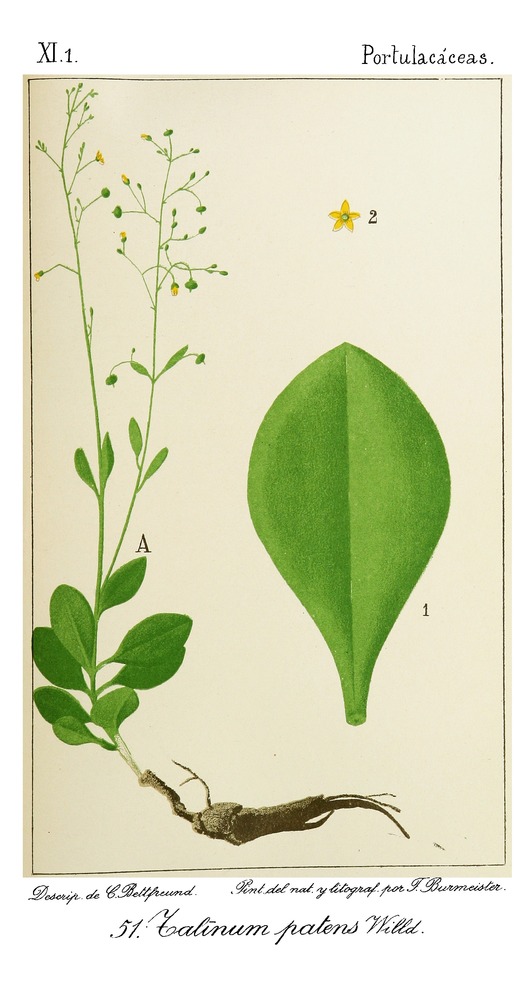 no full size  illustration available (3a)