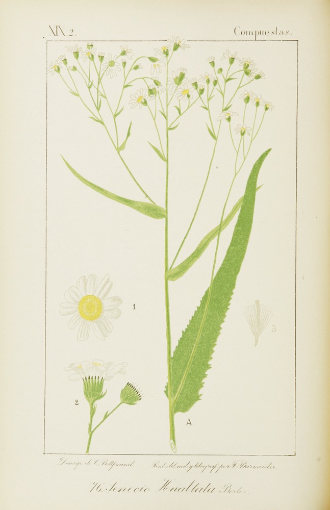 no full size  illustration available (3a)