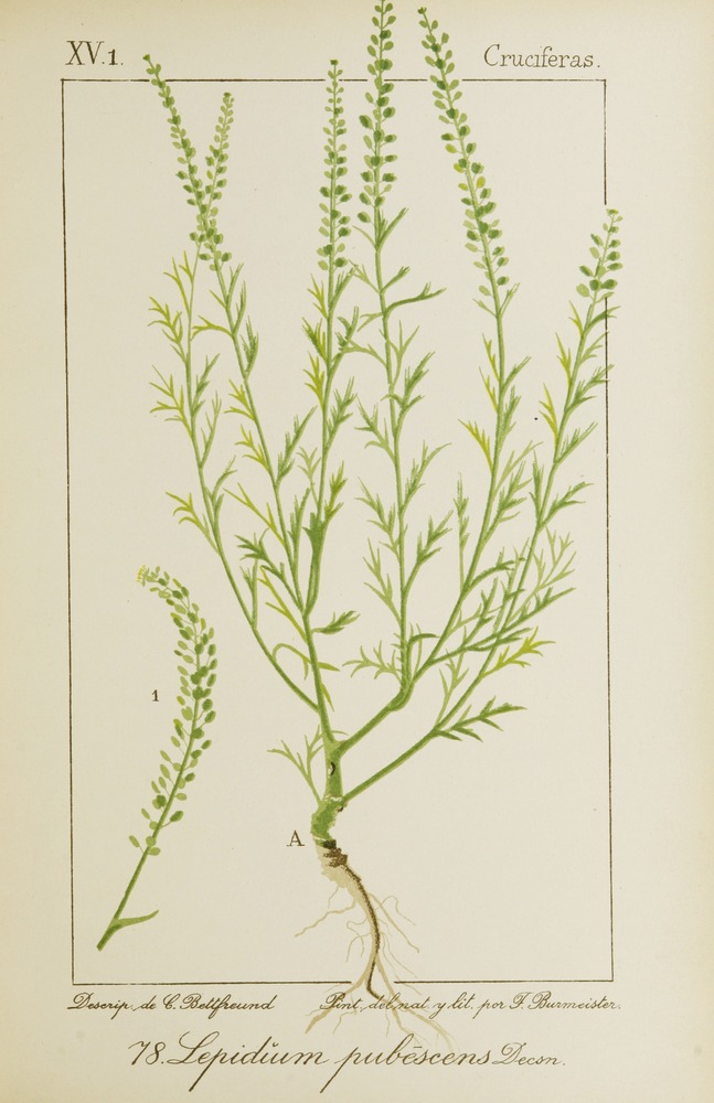 no full size  illustration available (3a)