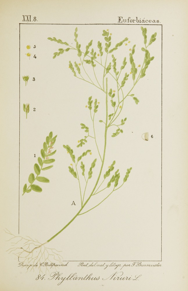 no full size  illustration available (3a)