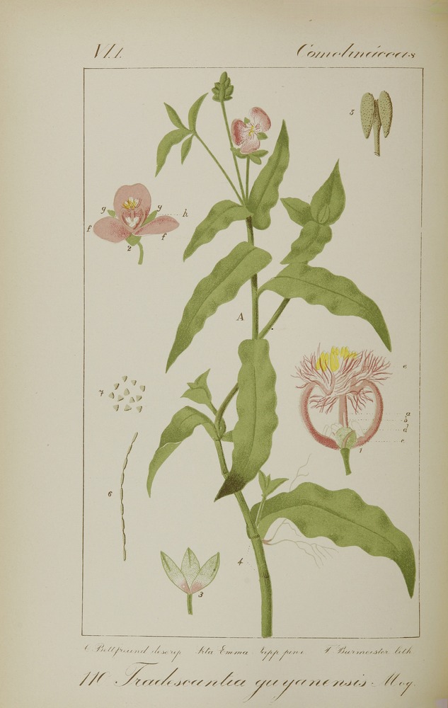 no full size  illustration available (3a)