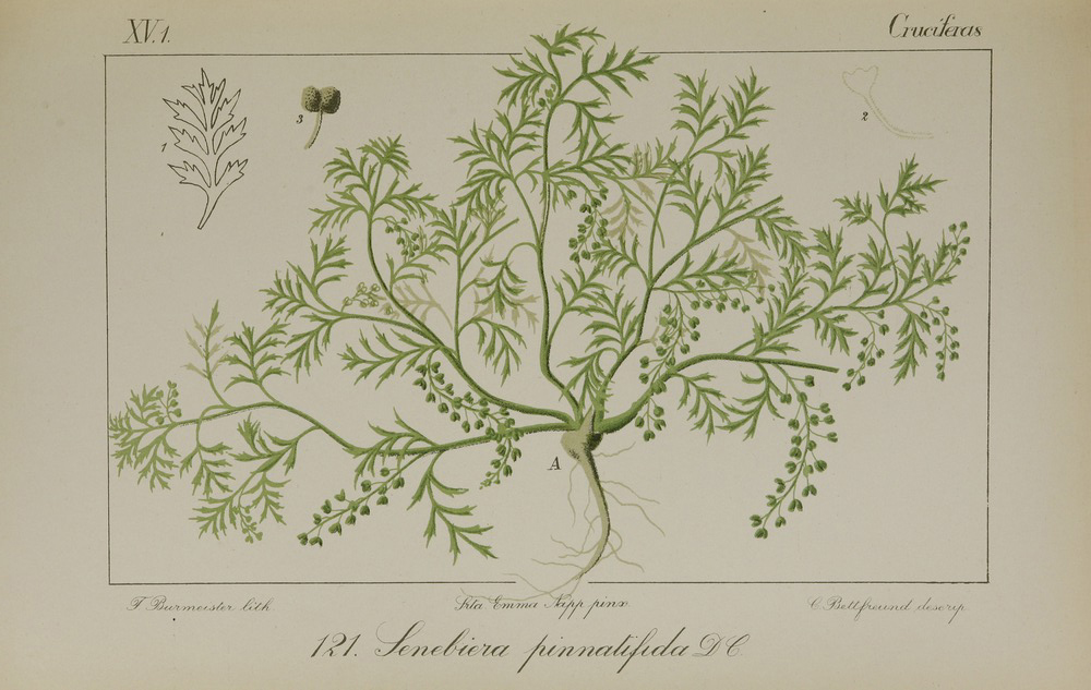 no full size  illustration available (3a)