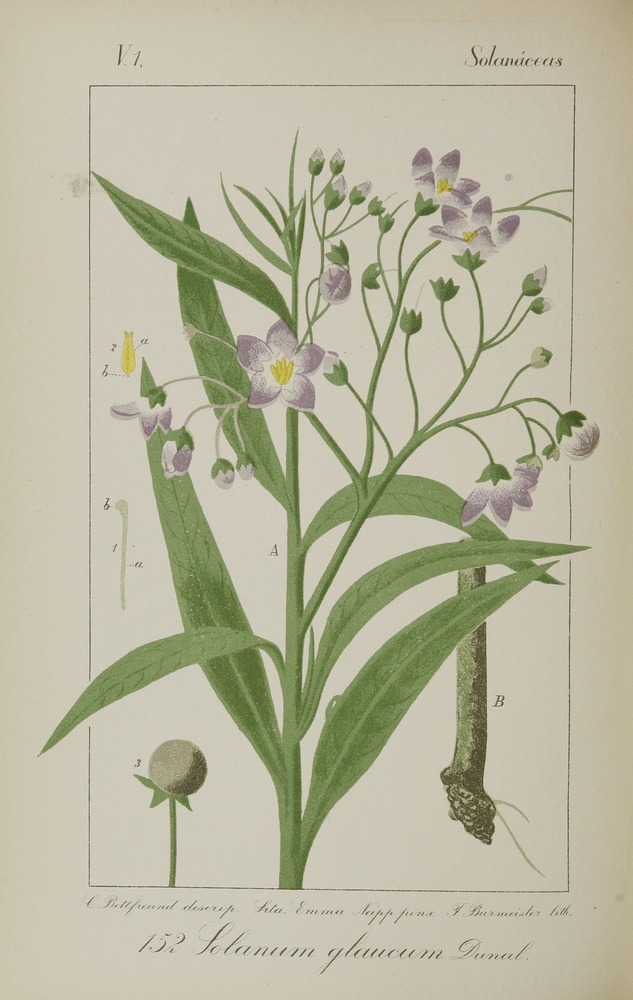 no full size  illustration available (3a)