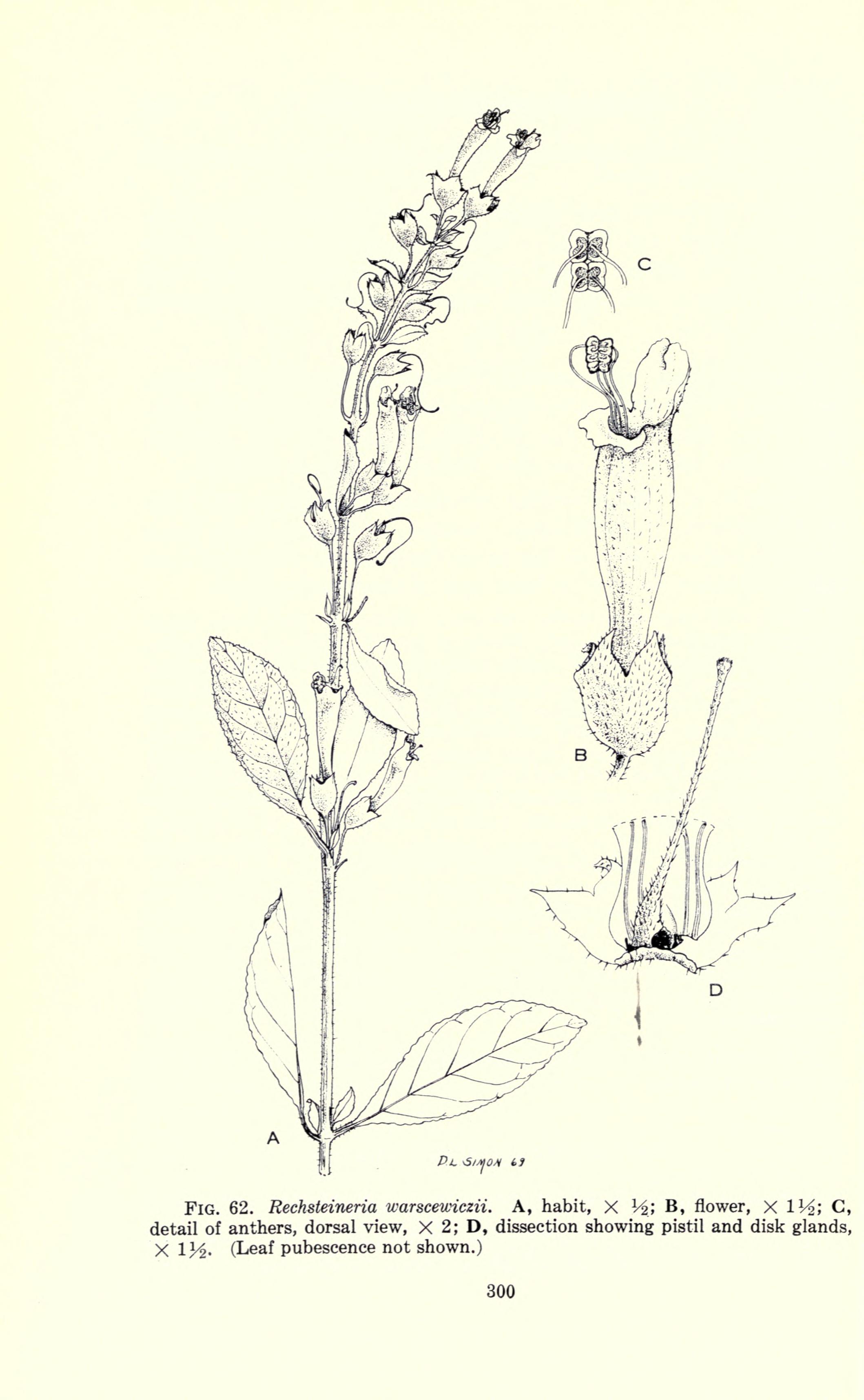 no full size  illustration available (3a)