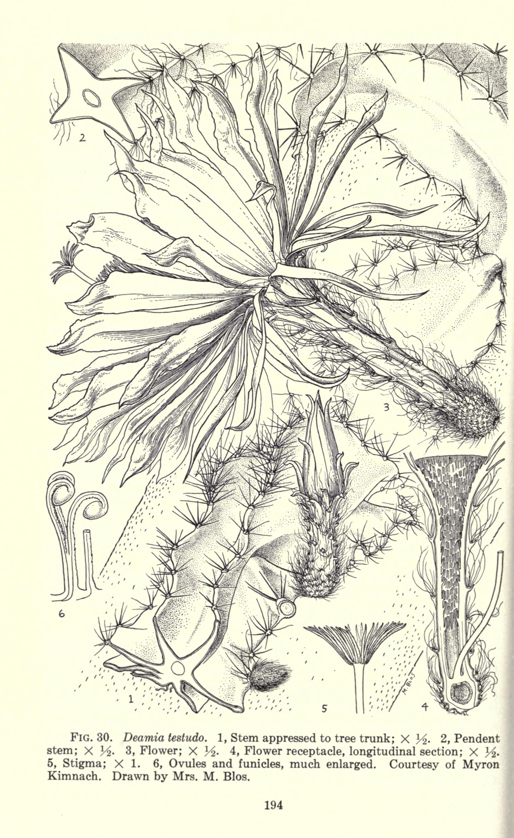 no full size  illustration available (3a)