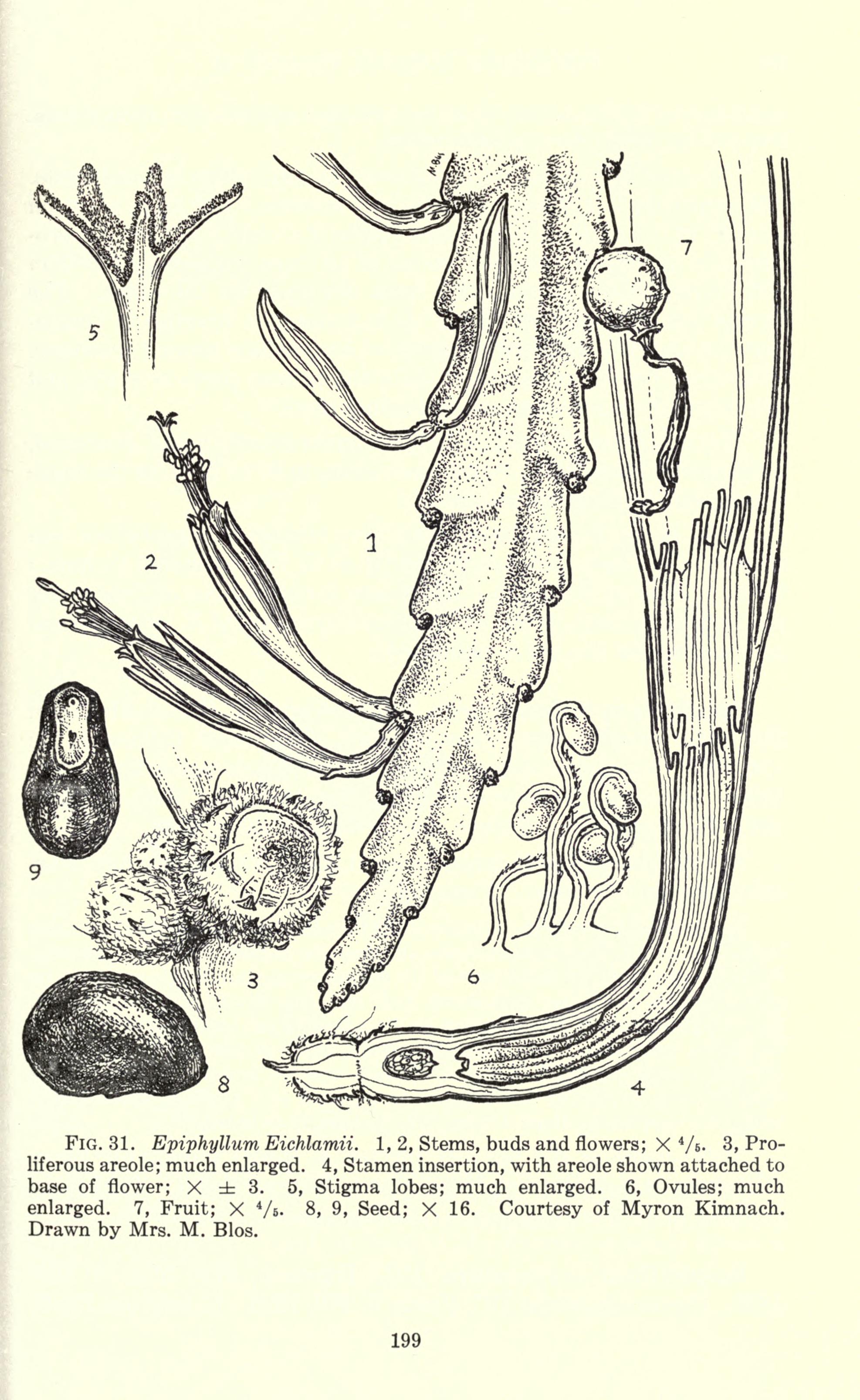 no full size  illustration available (3a)