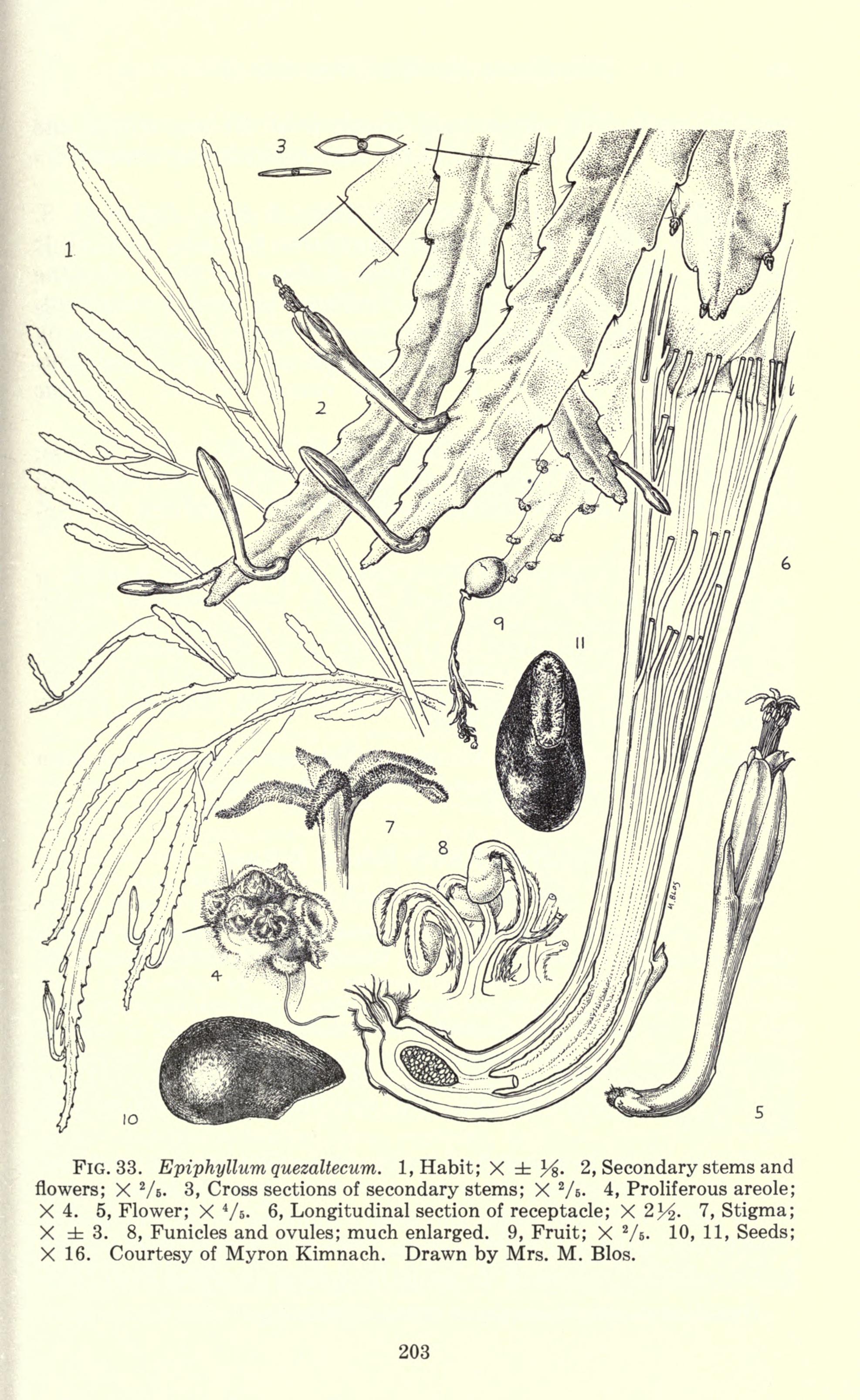 no full size  illustration available (3a)