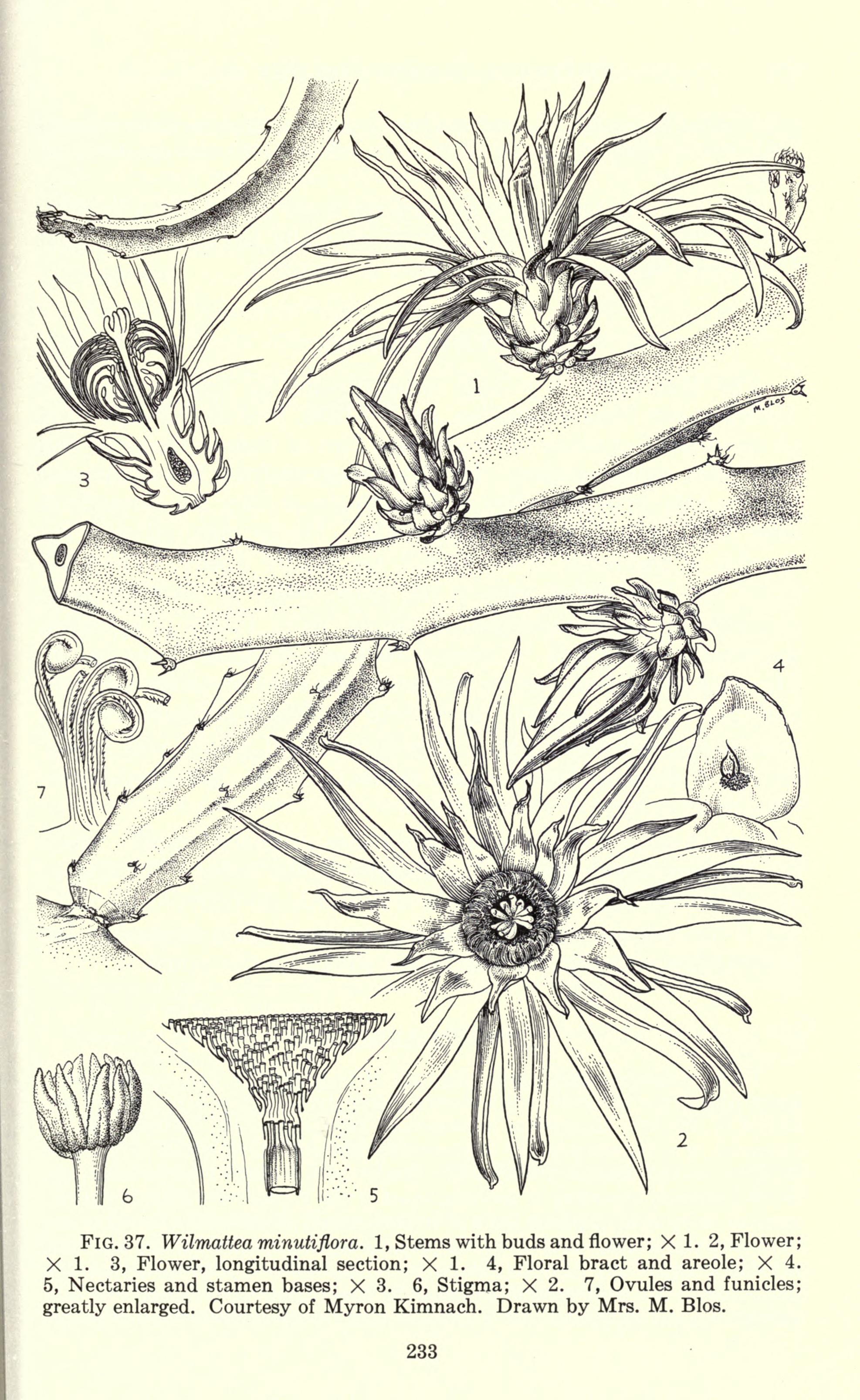 no full size  illustration available (3a)