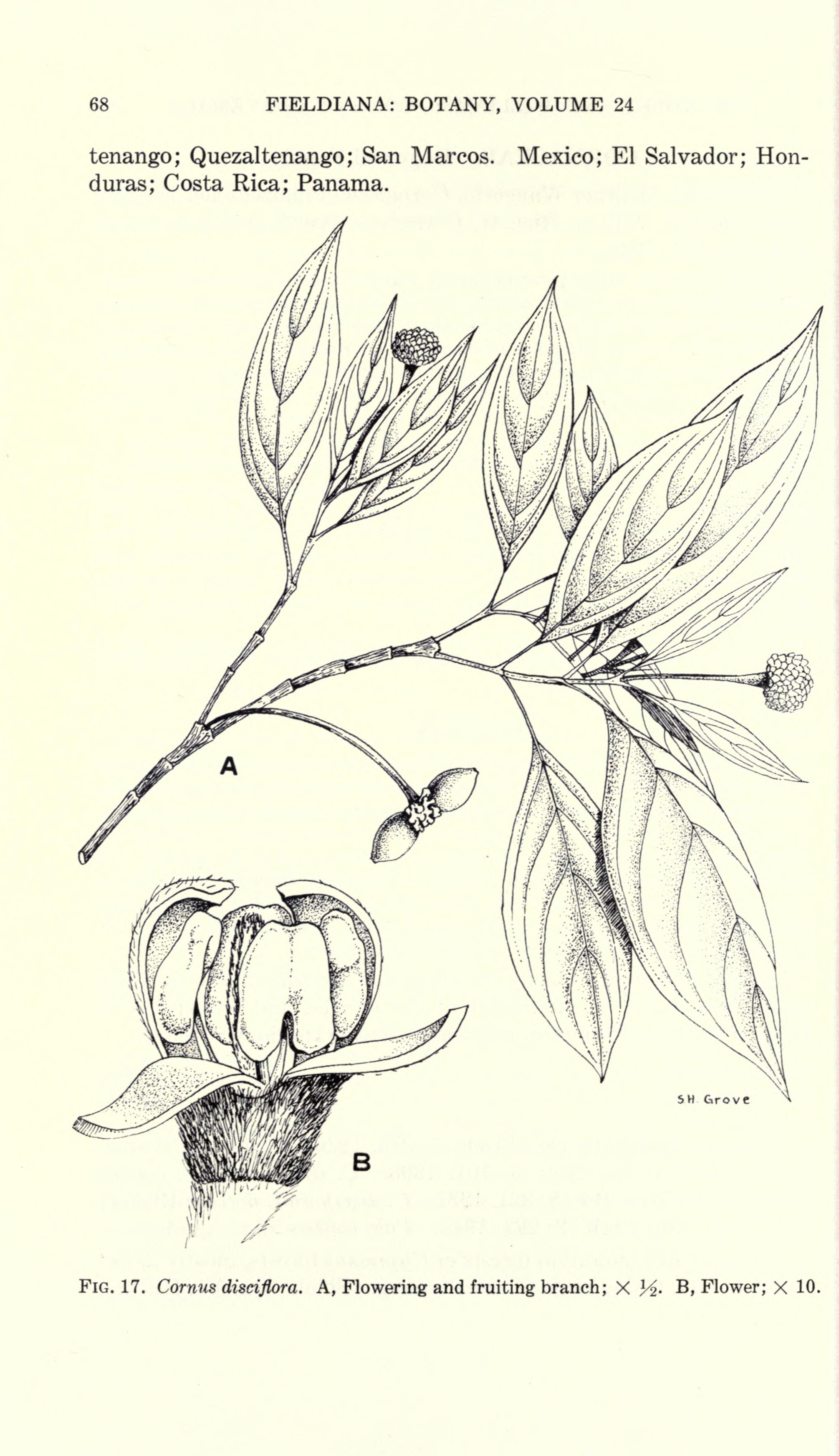 no full size  illustration available (3a)