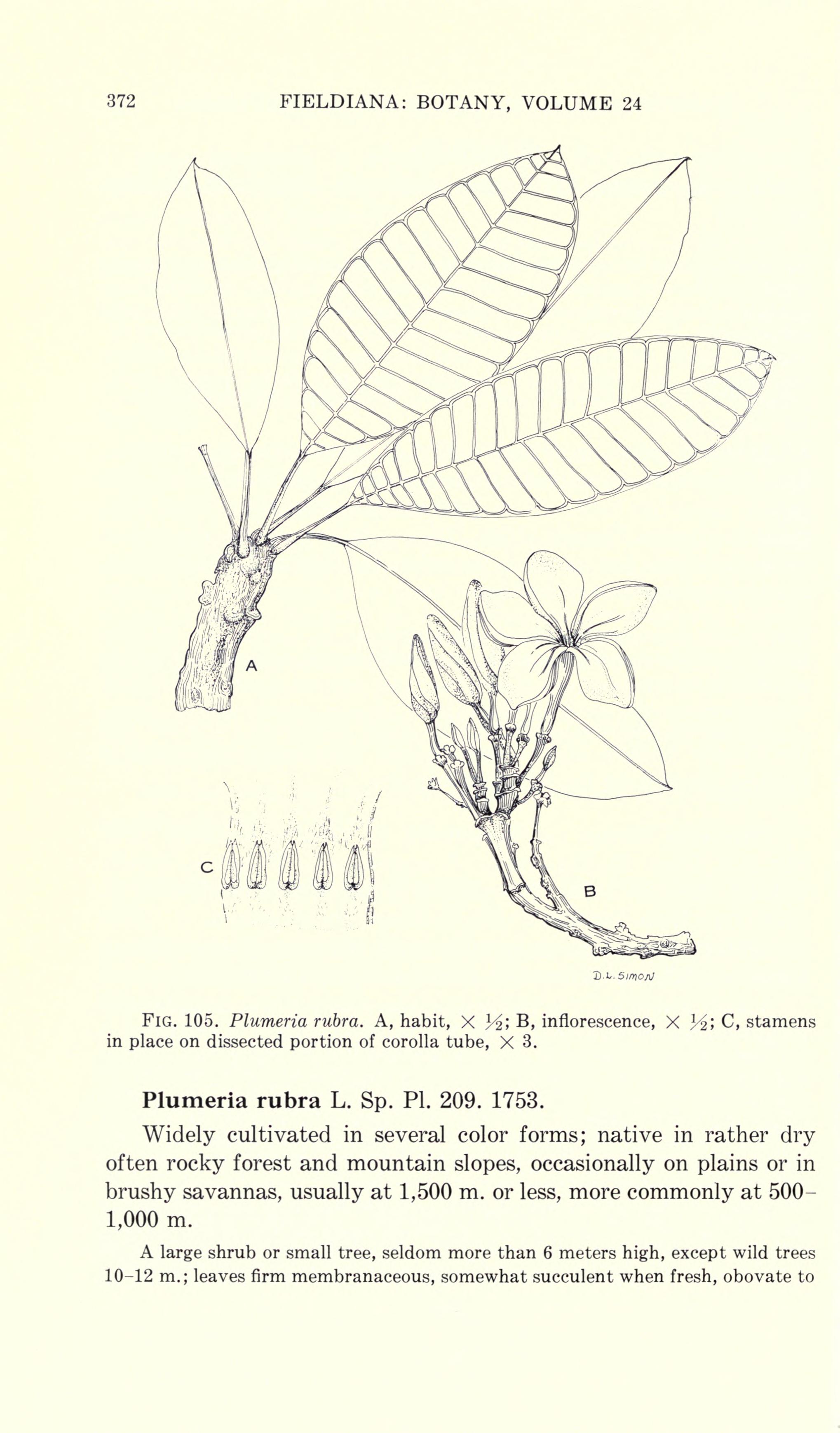 no full size  illustration available (3a)