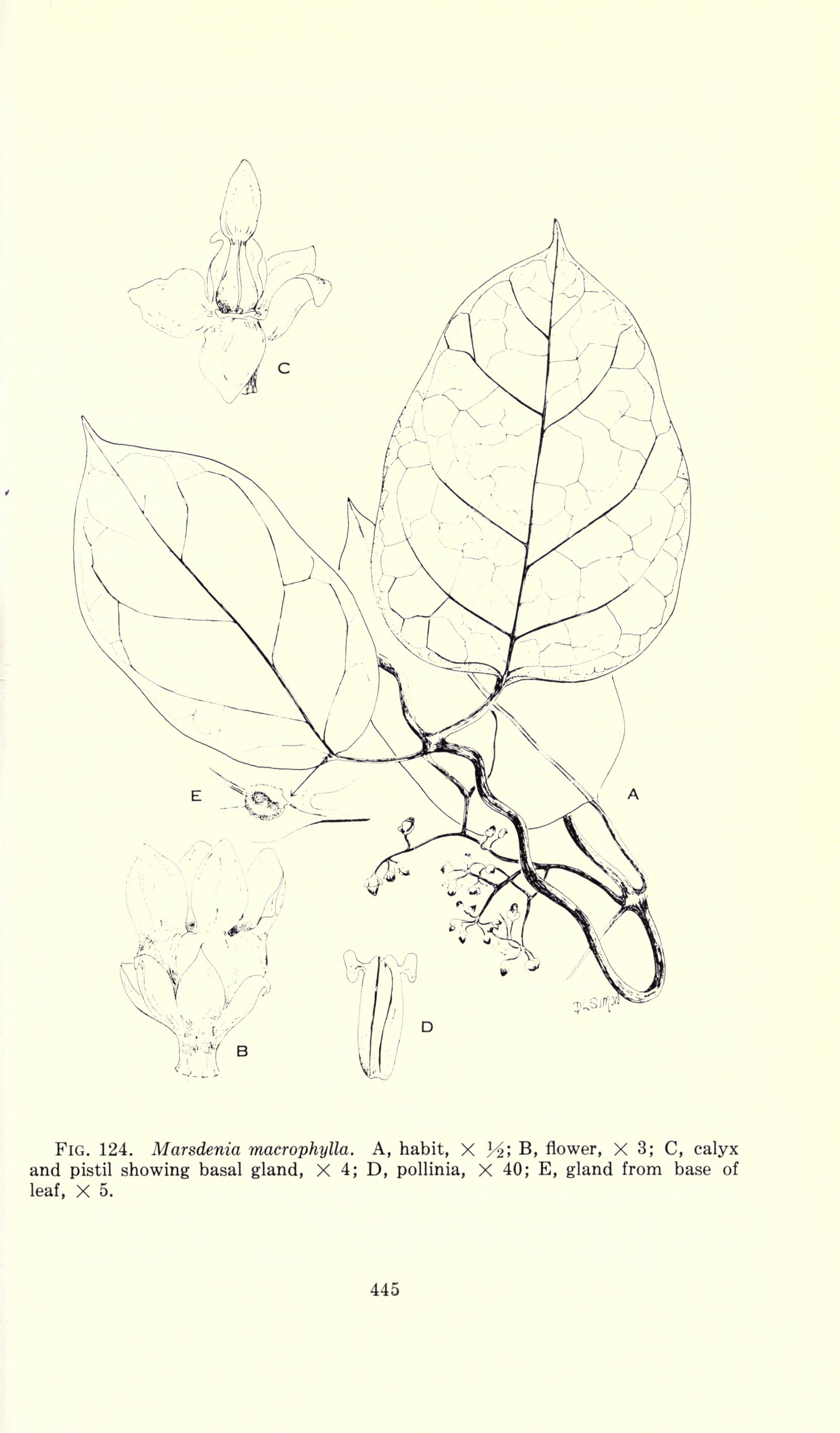 no full size  illustration available (3a)