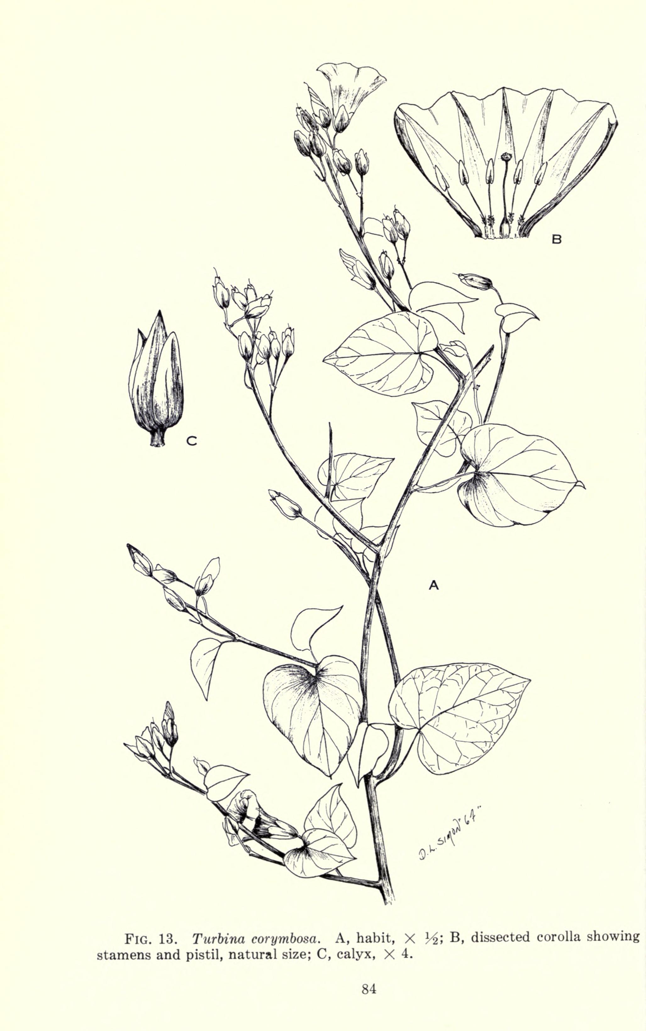 no full size  illustration available (3a)