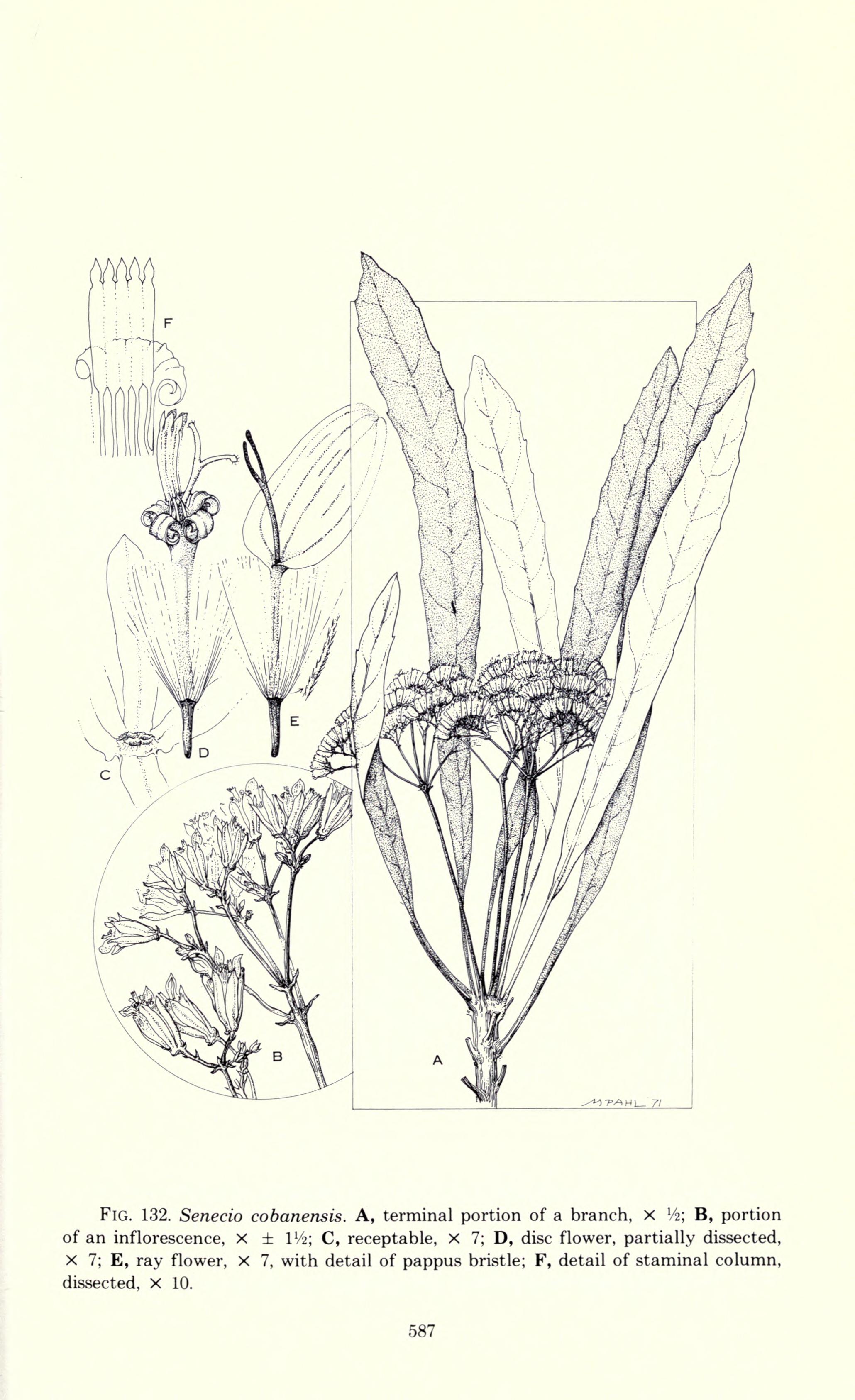 no full size  illustration available (3a)