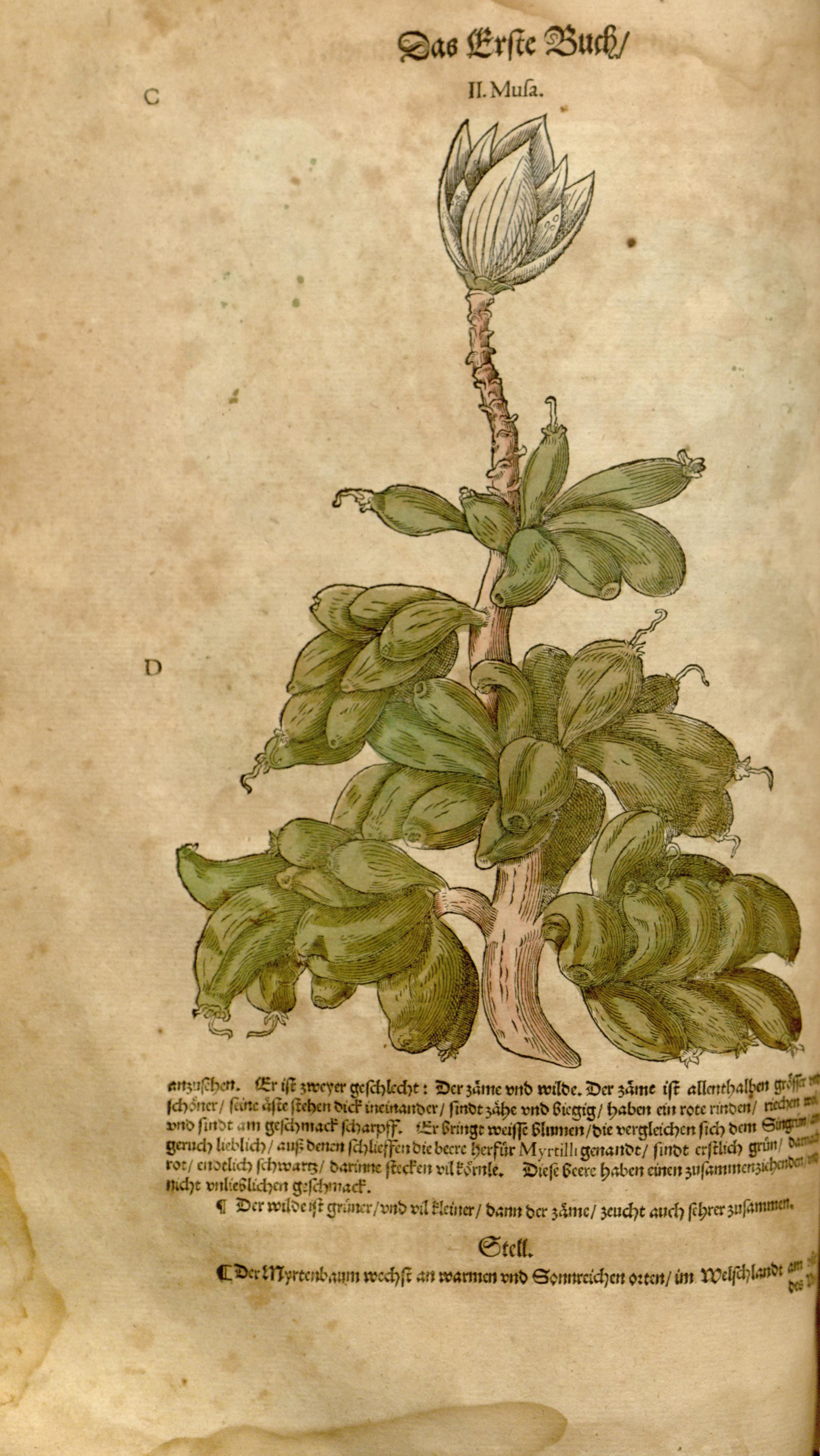 no full size  illustration available (3a)