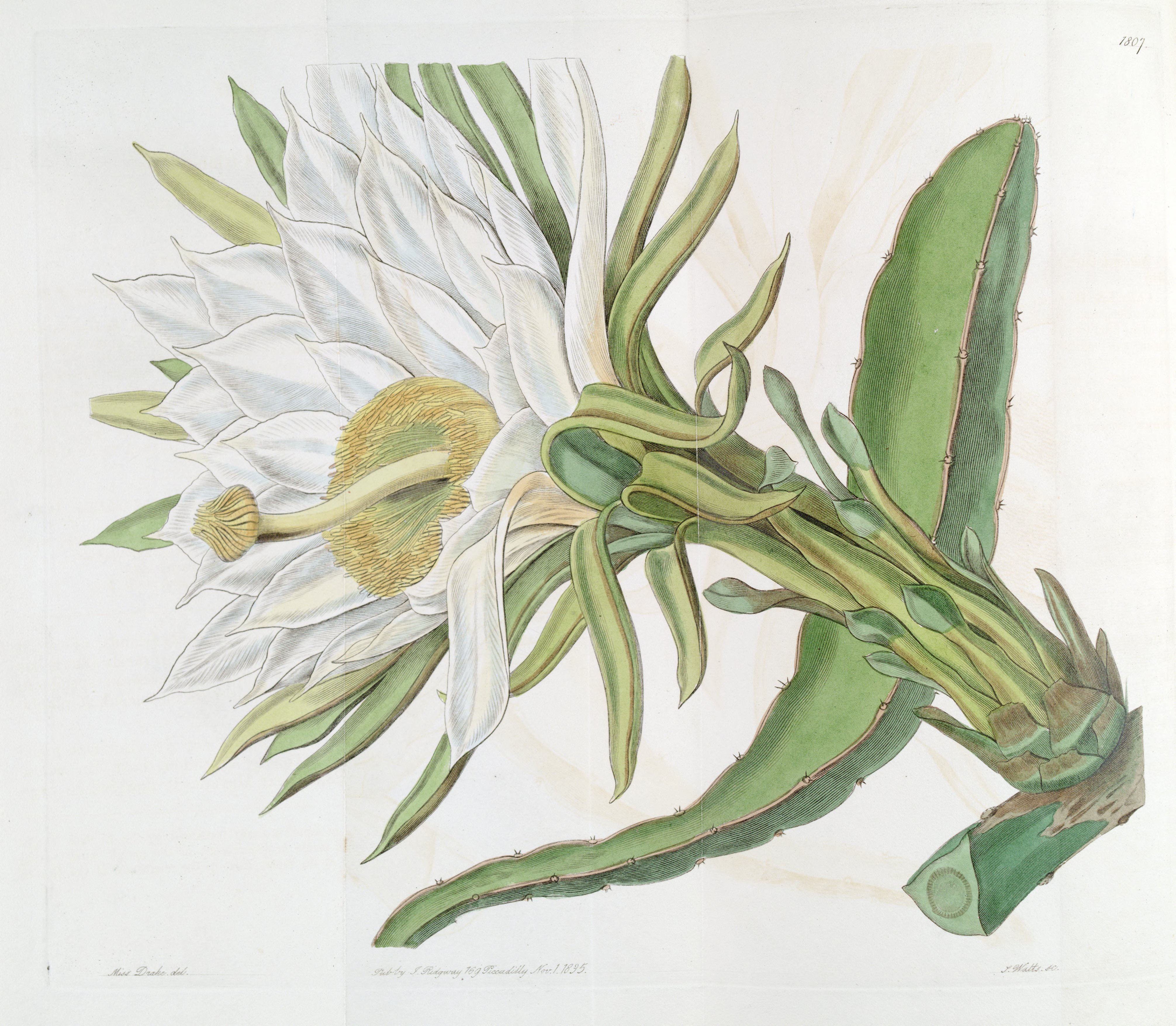 no full size  illustration available (3a)