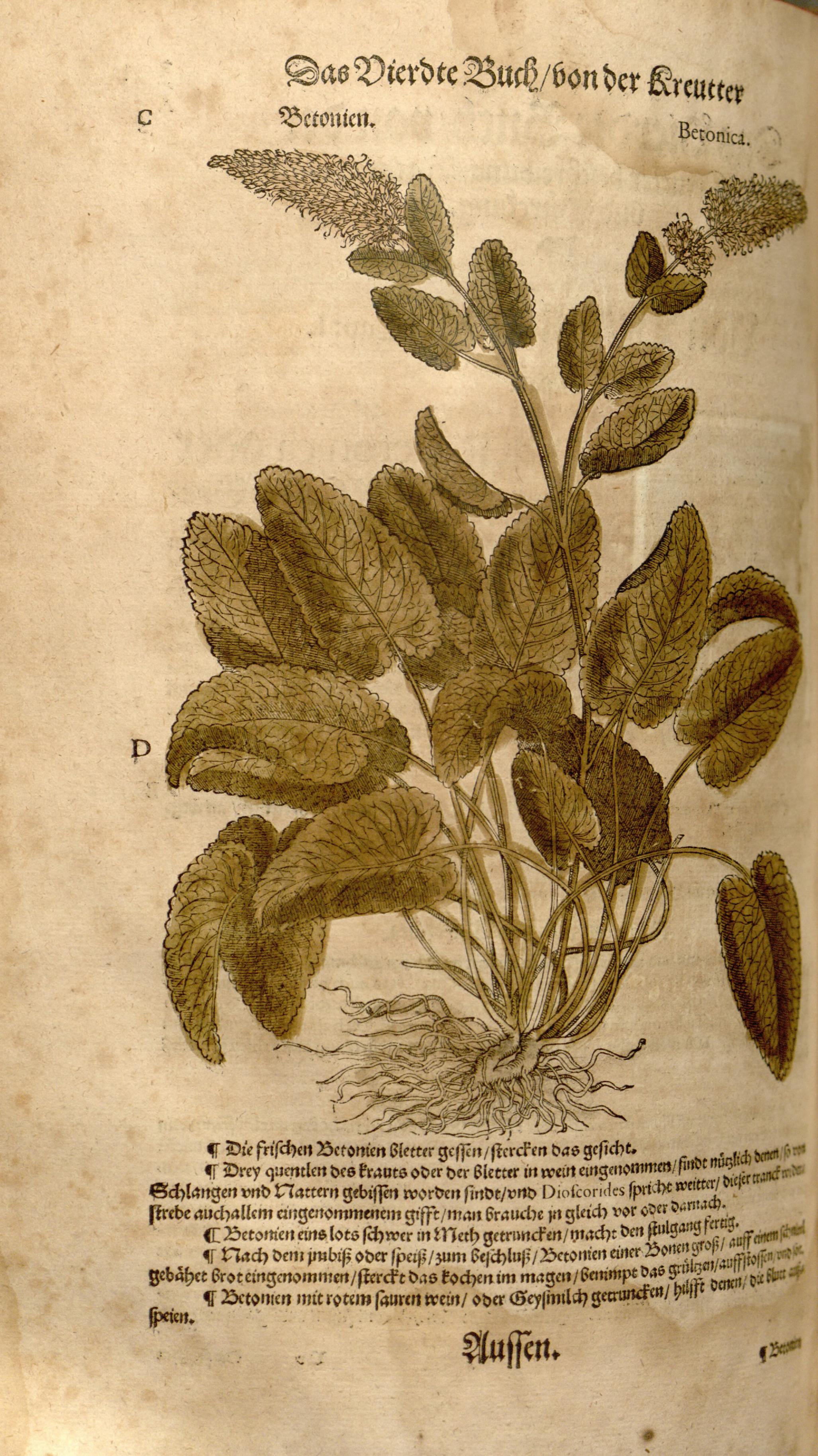 no full size  illustration available (3a)