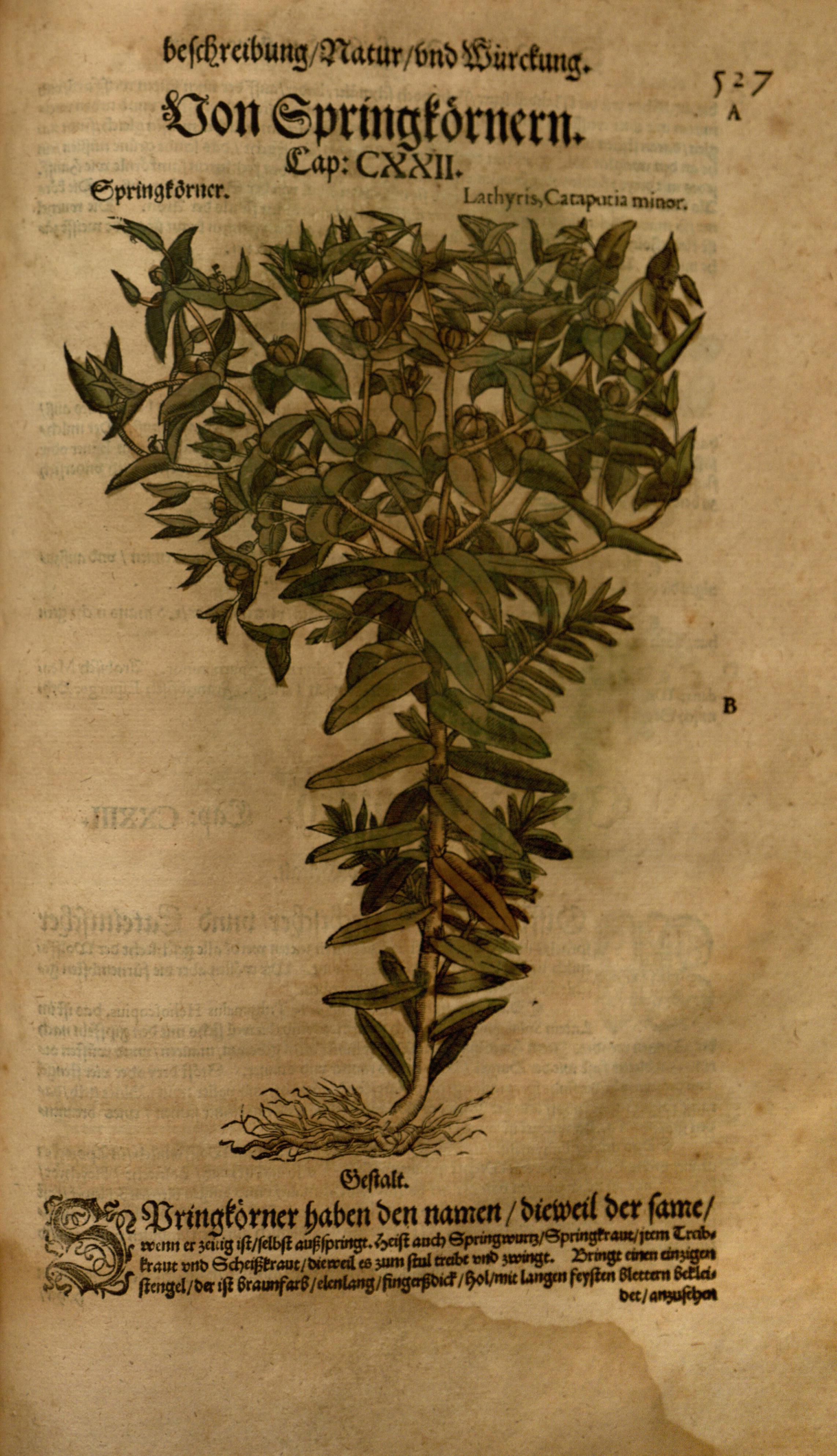 no full size  illustration available (3a)