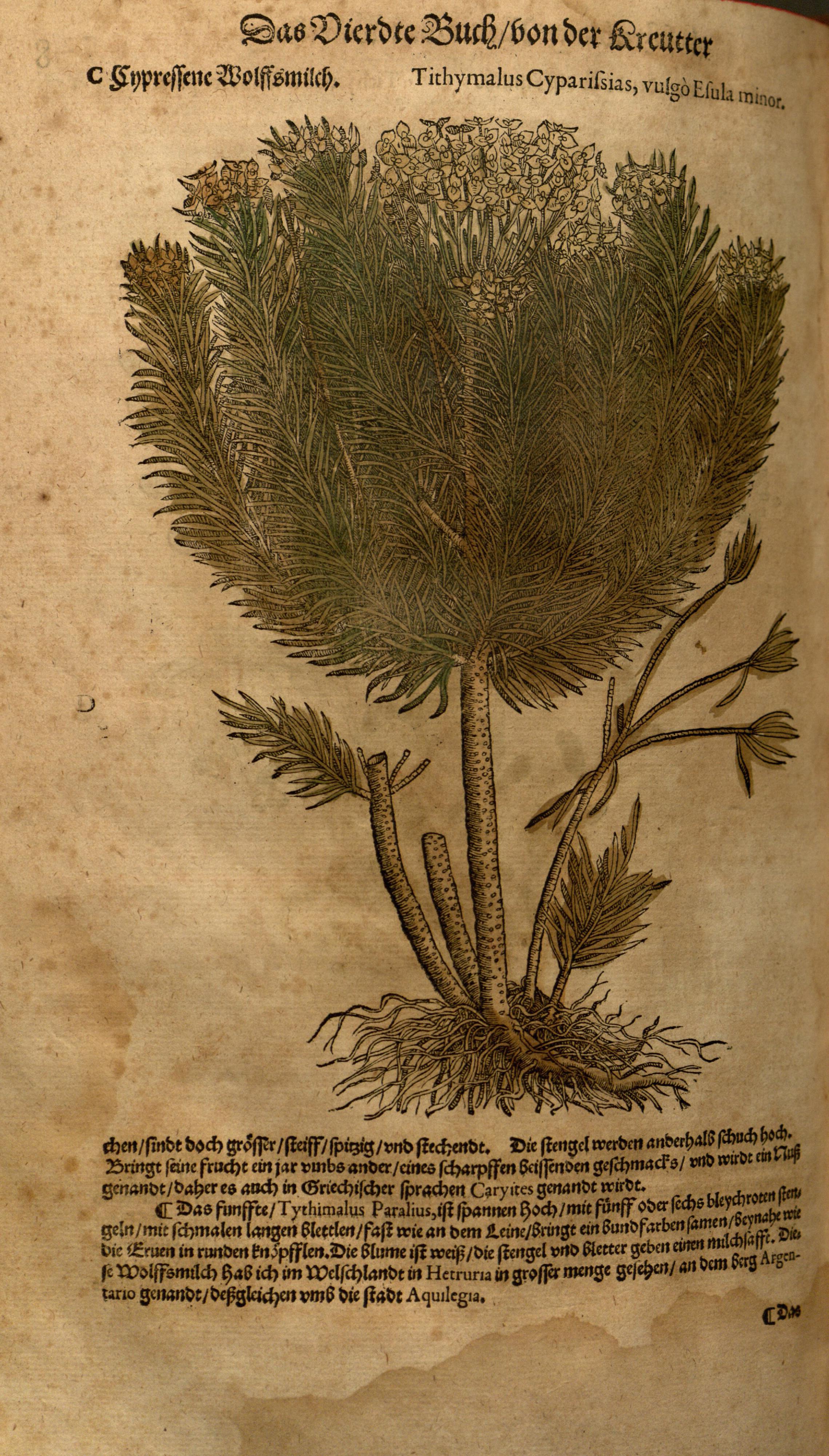 no full size  illustration available (3a)