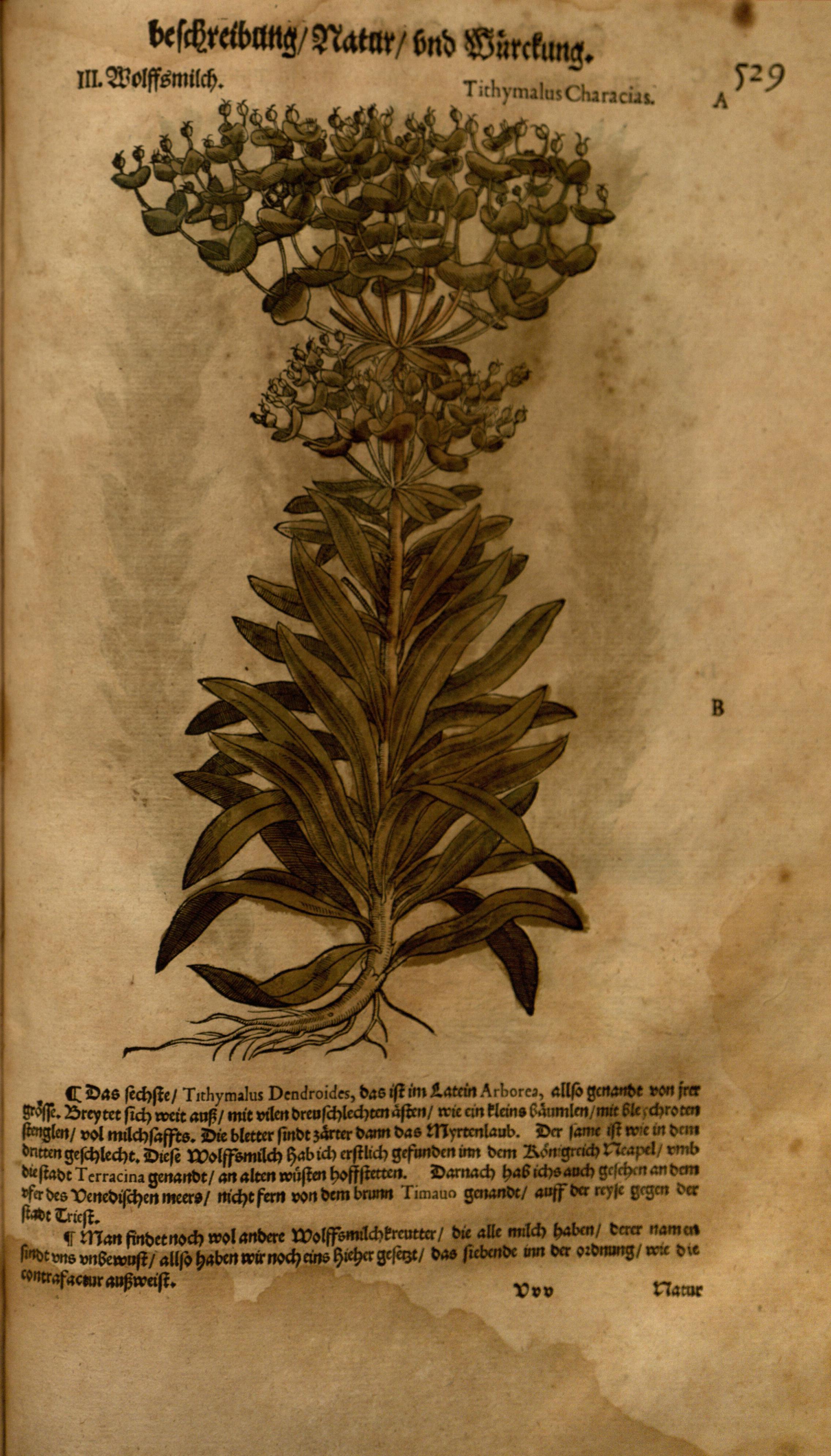 no full size  illustration available (3a)