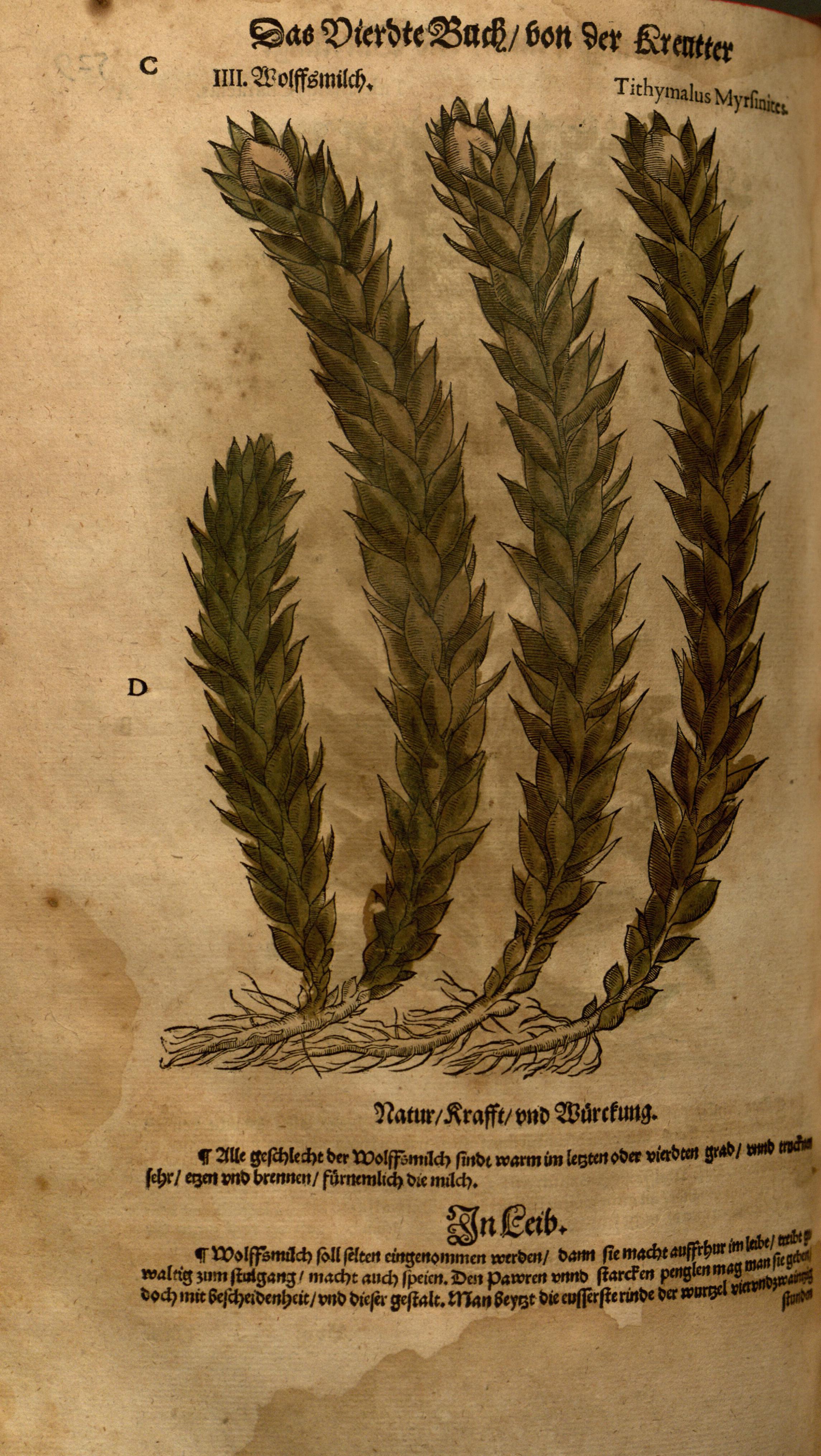 no full size  illustration available (3a)