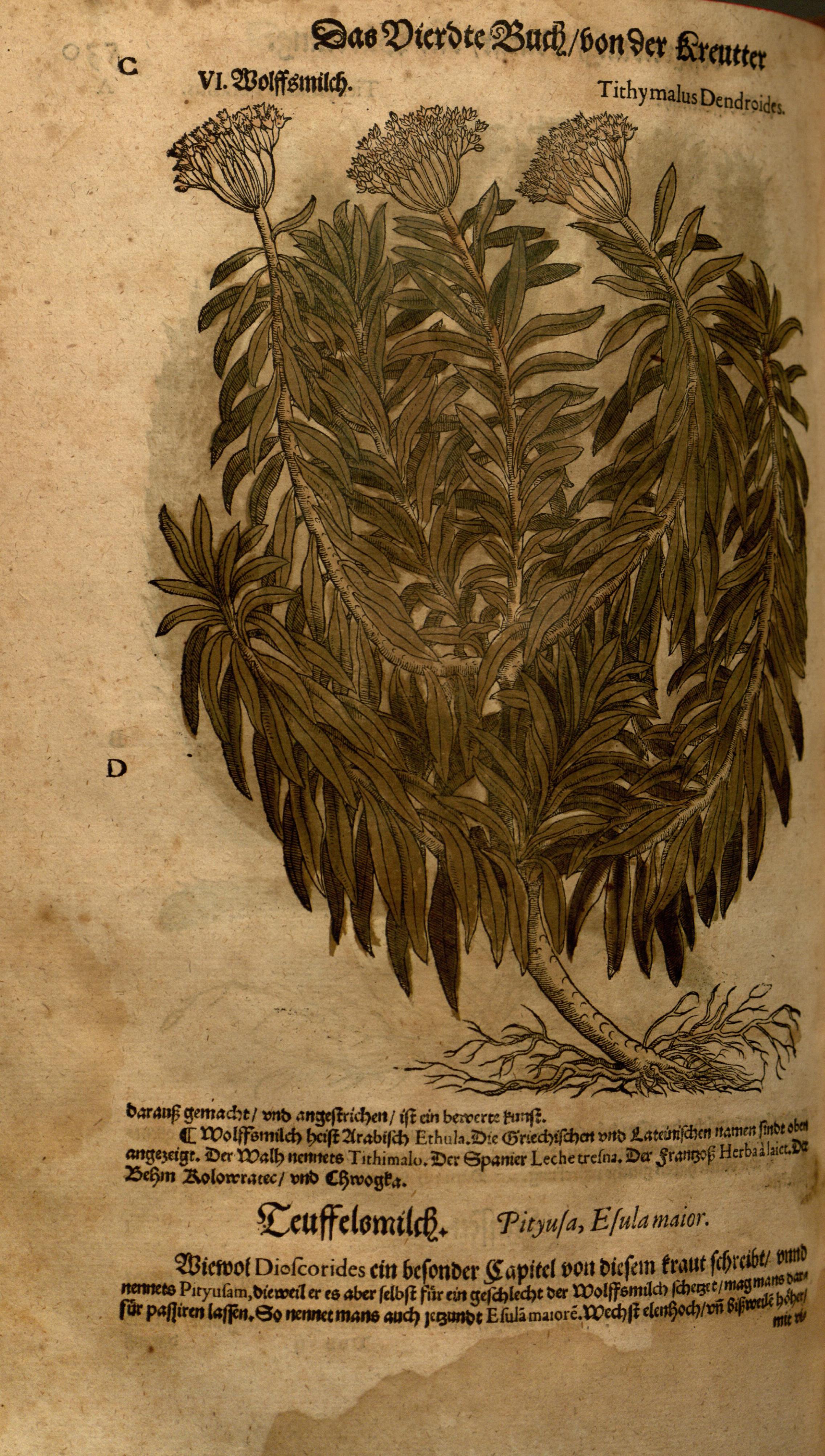 no full size  illustration available (3a)