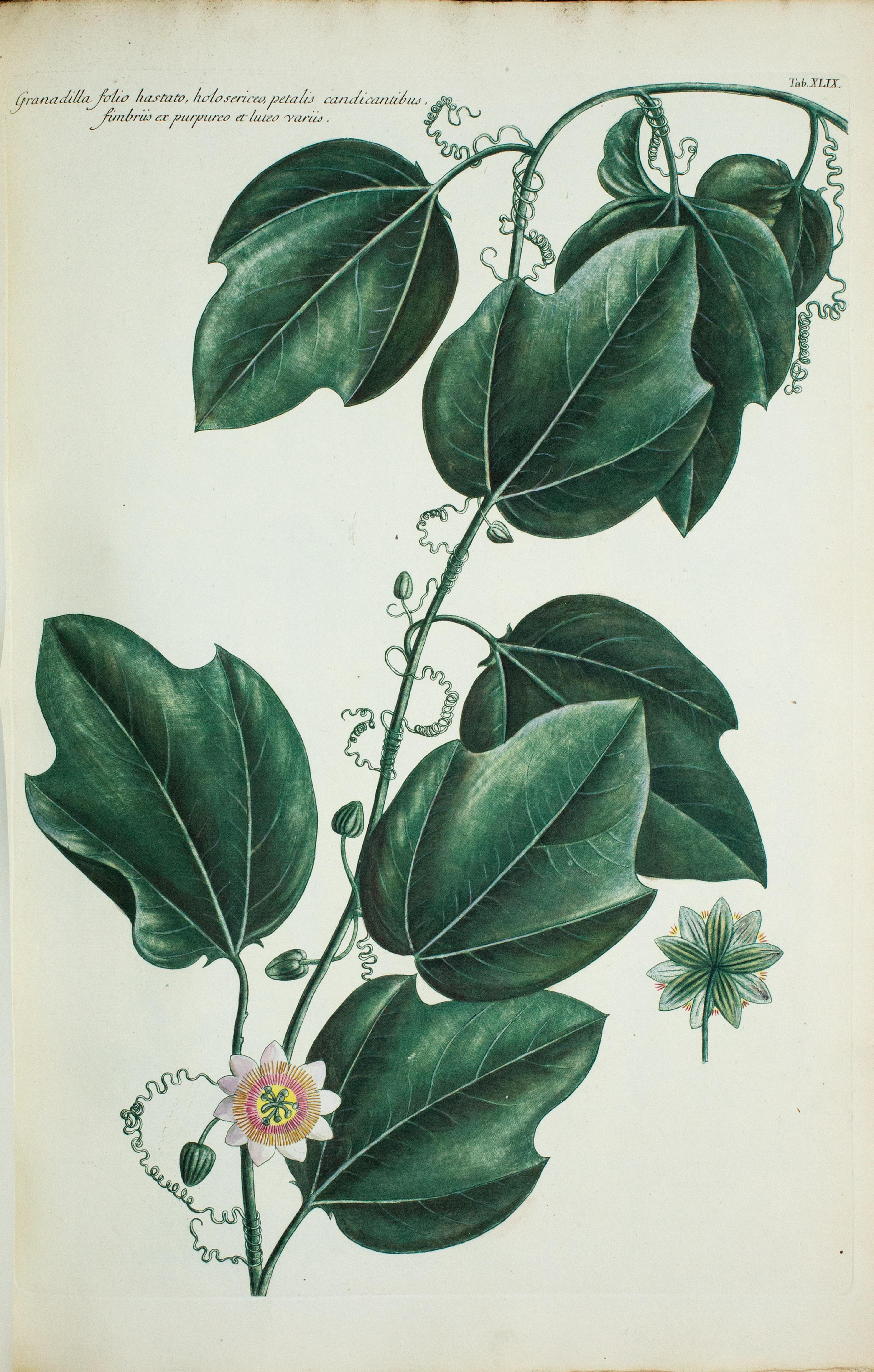 no full size  illustration available (3a)