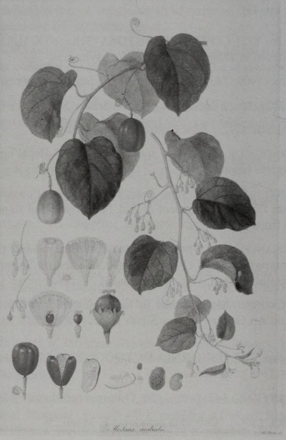 no full size  illustration available (3a)