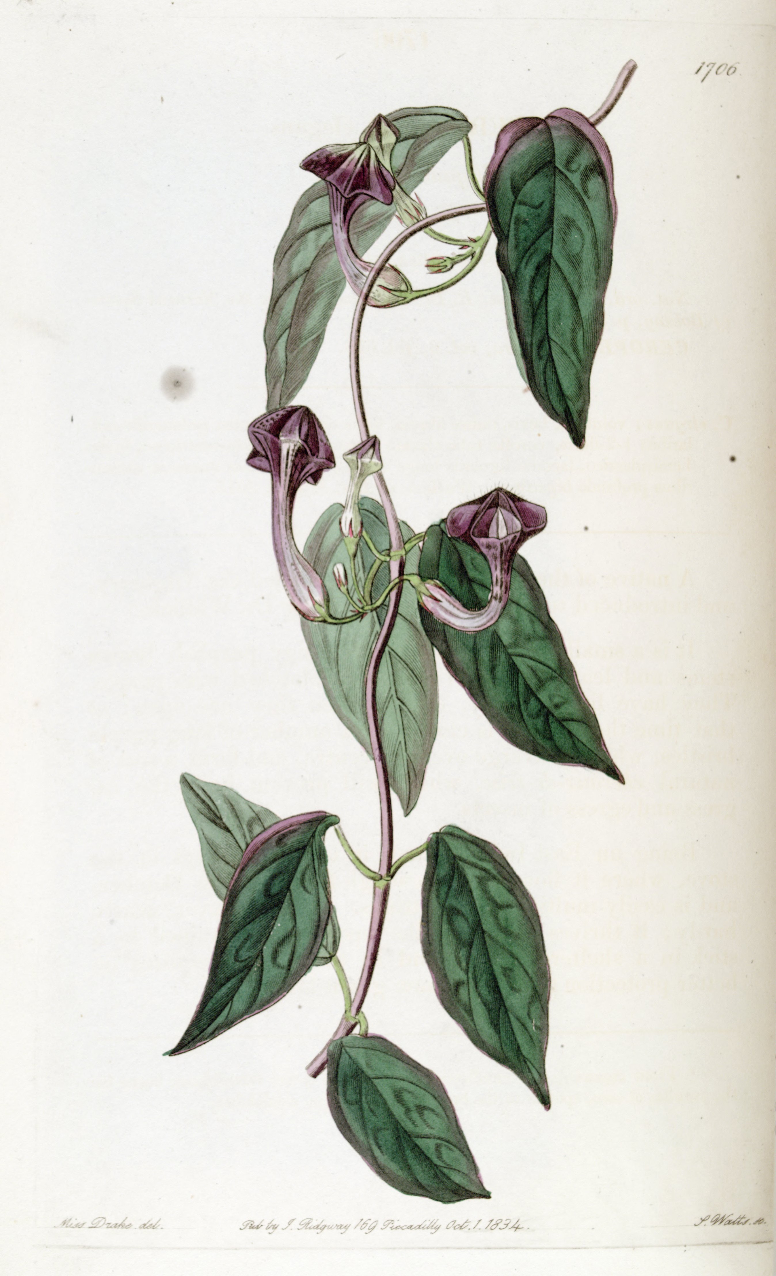 no full size  illustration available (3a)