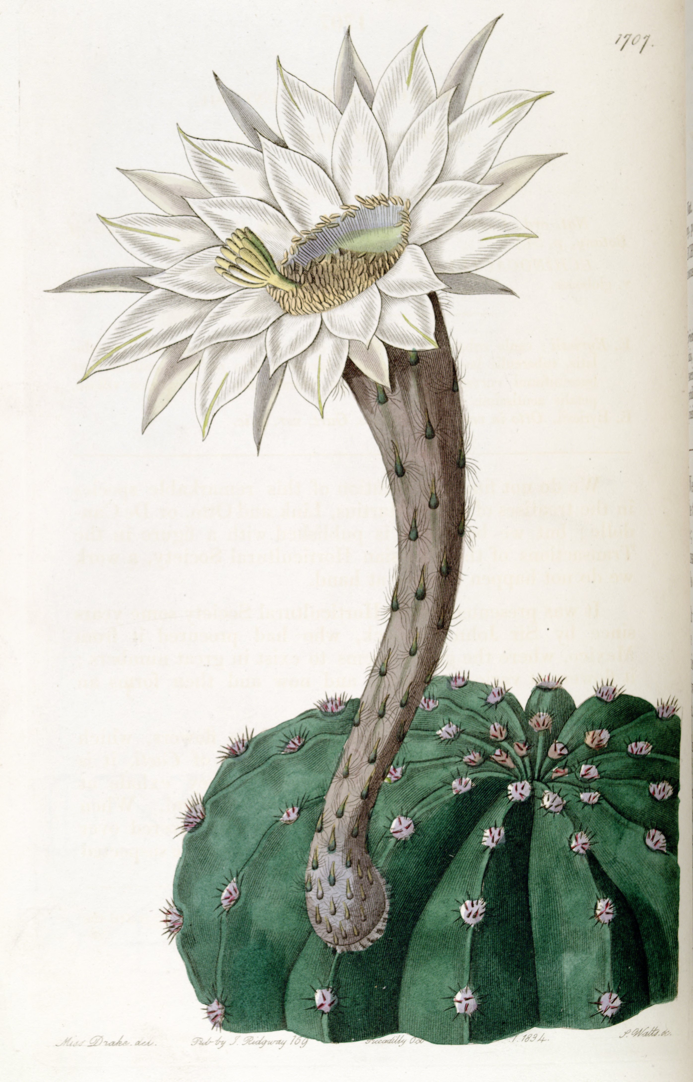 no full size  illustration available (3a)