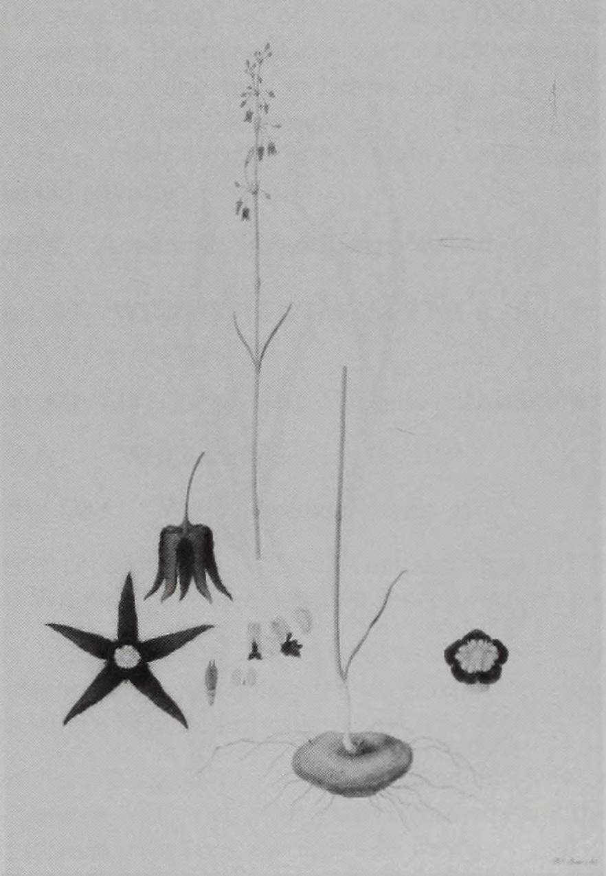 no full size  illustration available (3a)