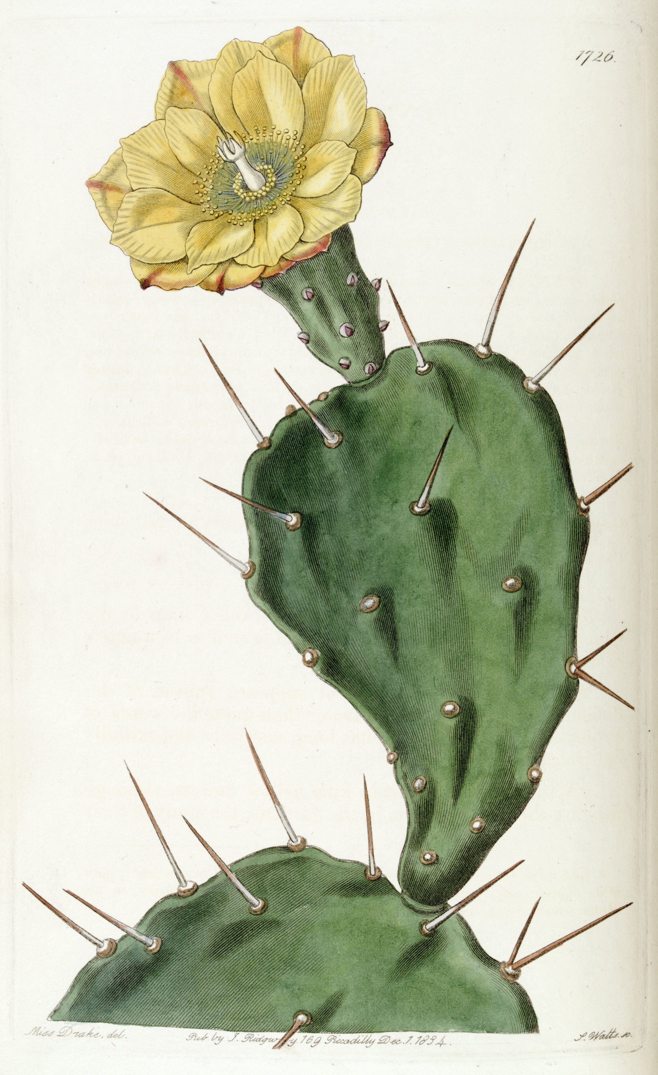 no full size  illustration available (3a)