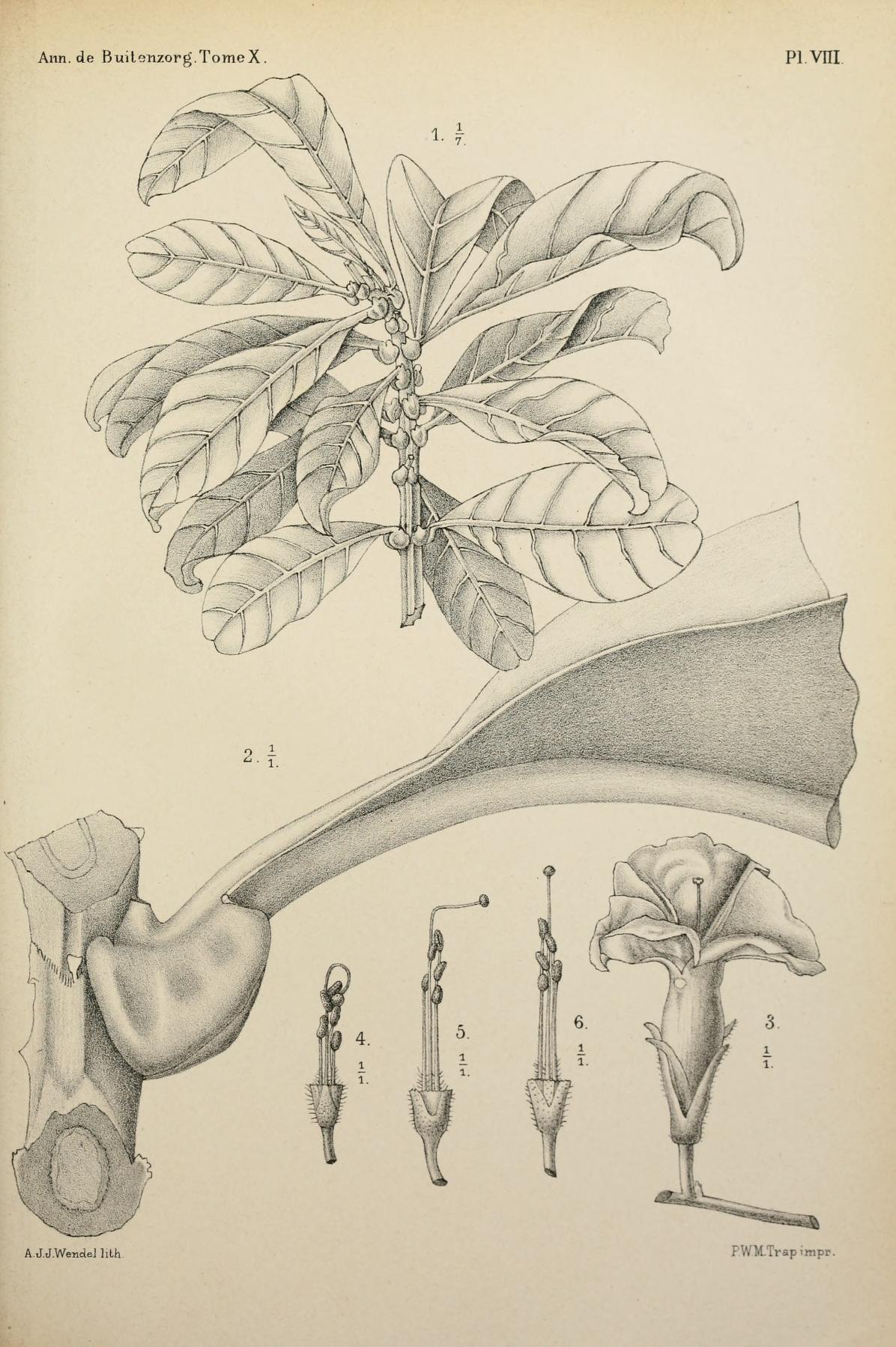 no full size  illustration available (3a)