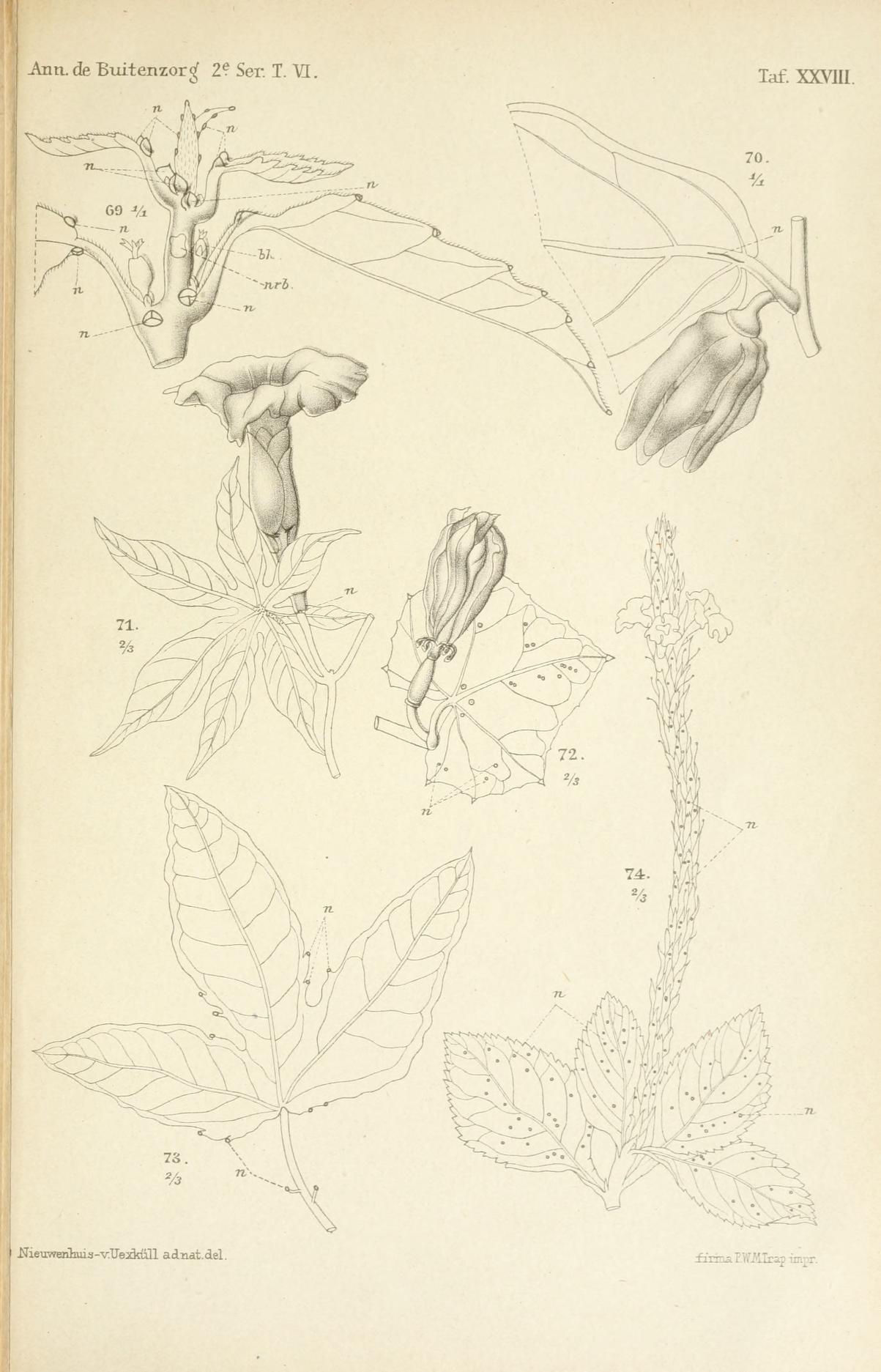 no full size  illustration available (3a)