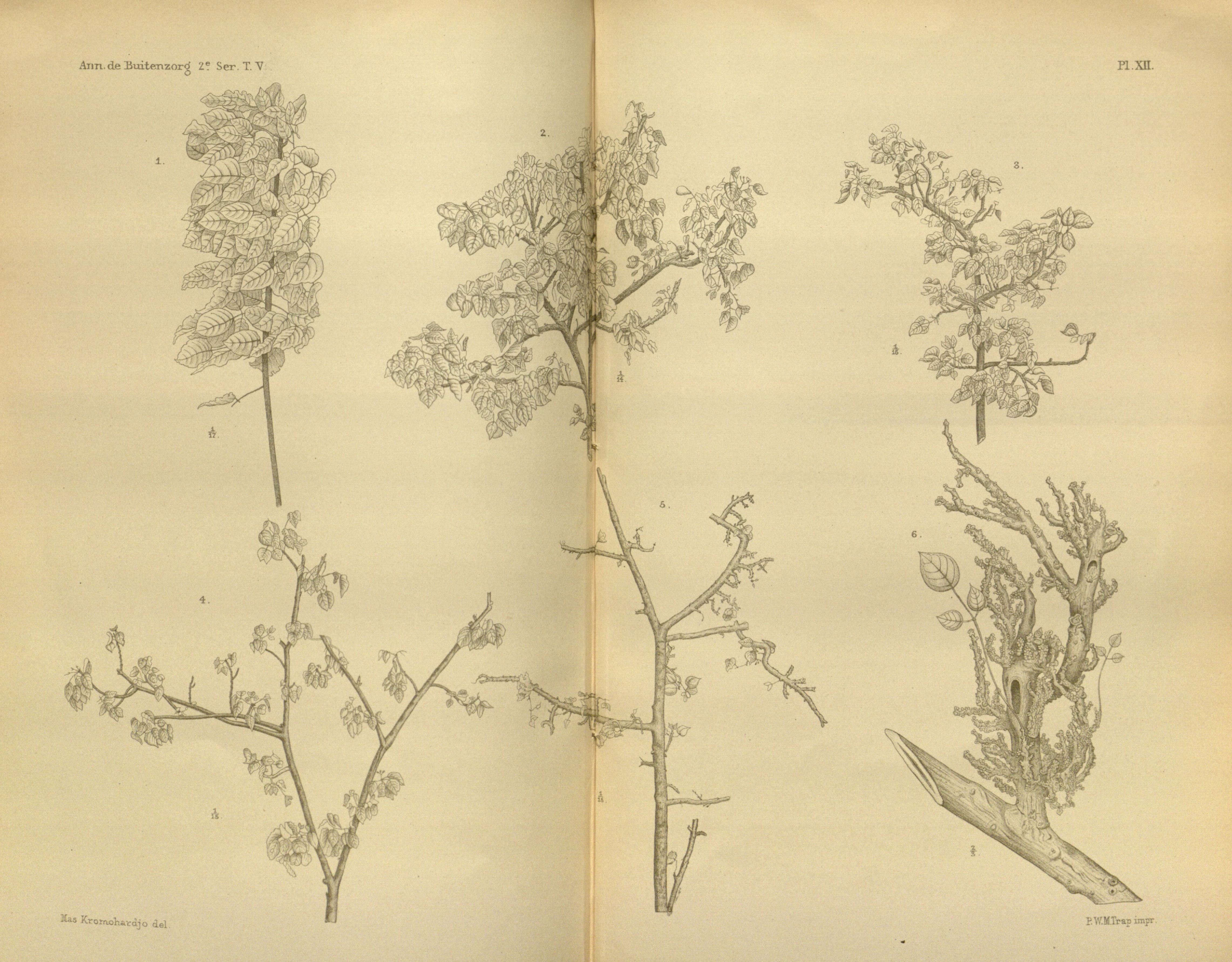 no full size  illustration available (3a)