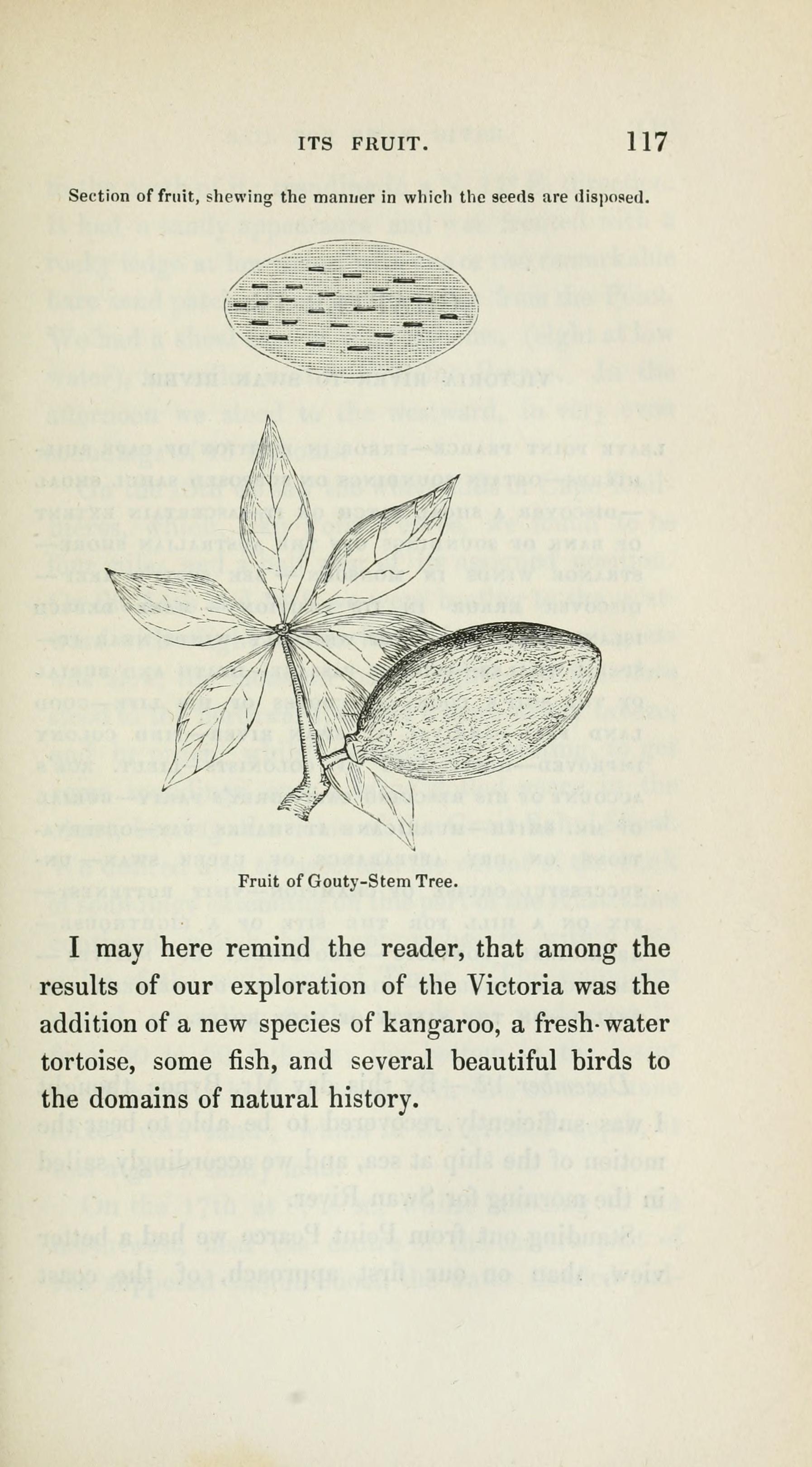 no full size  illustration available (3a)