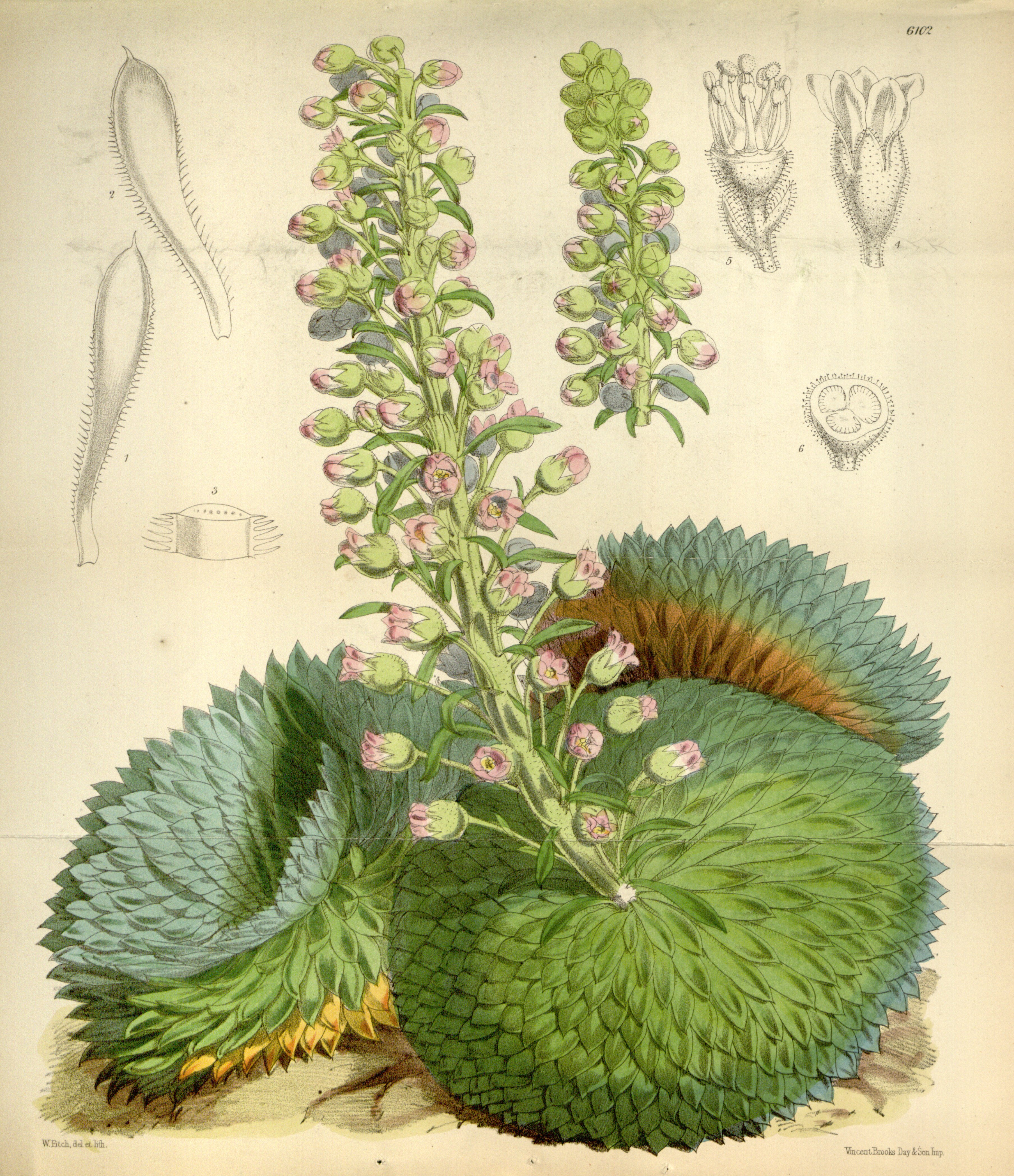 no full size  illustration available (3a)