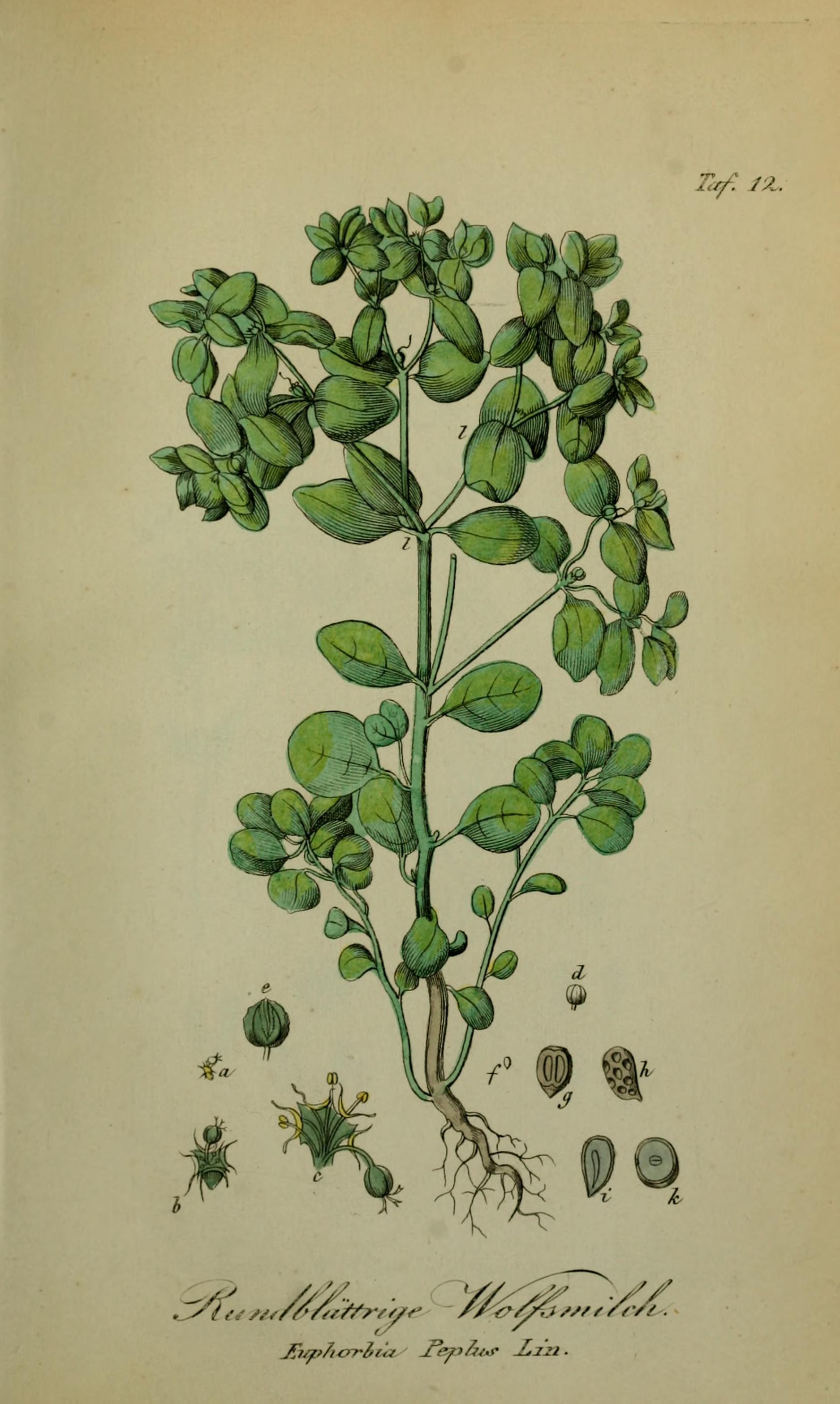 no full size  illustration available (3a)