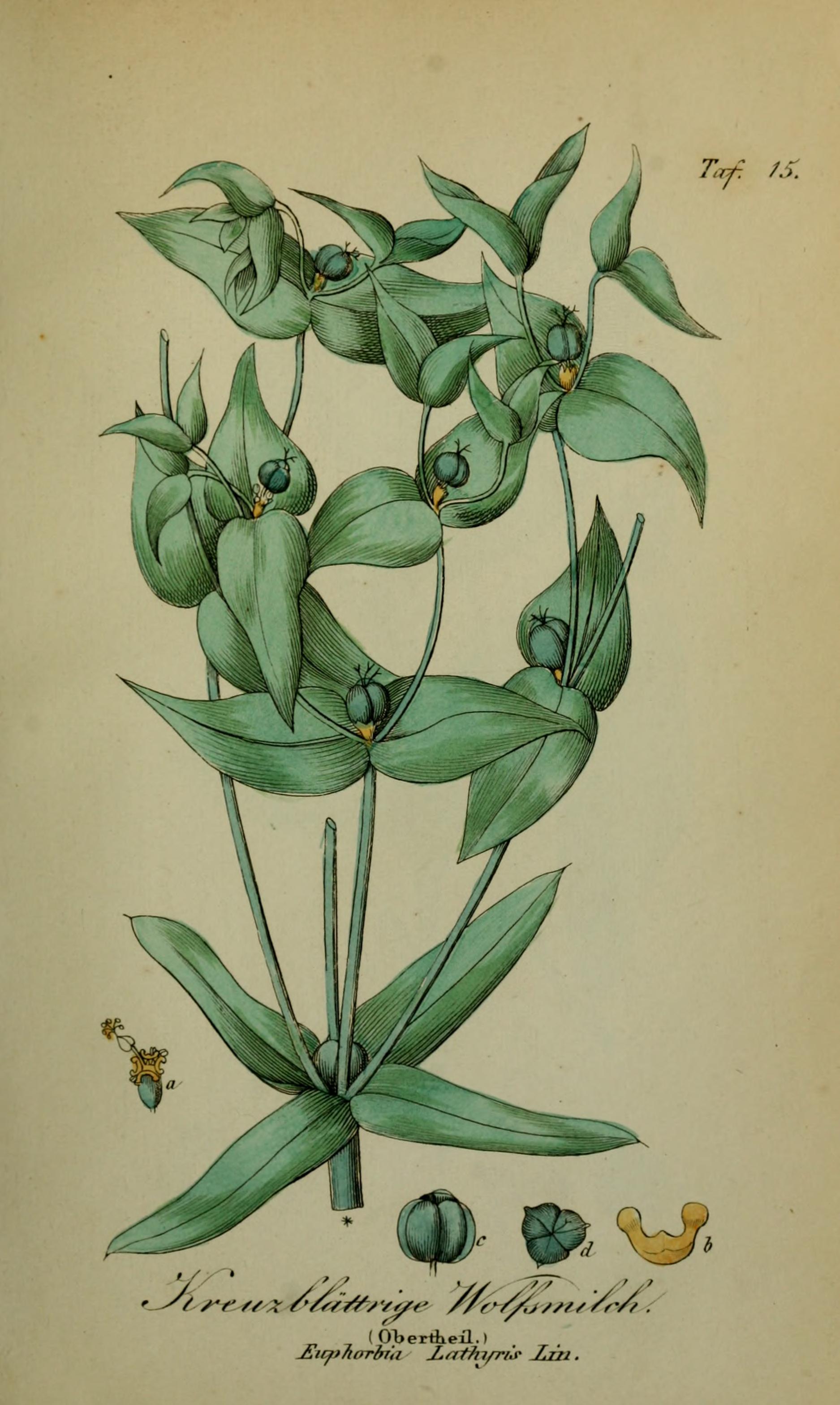 no full size  illustration available (3a)