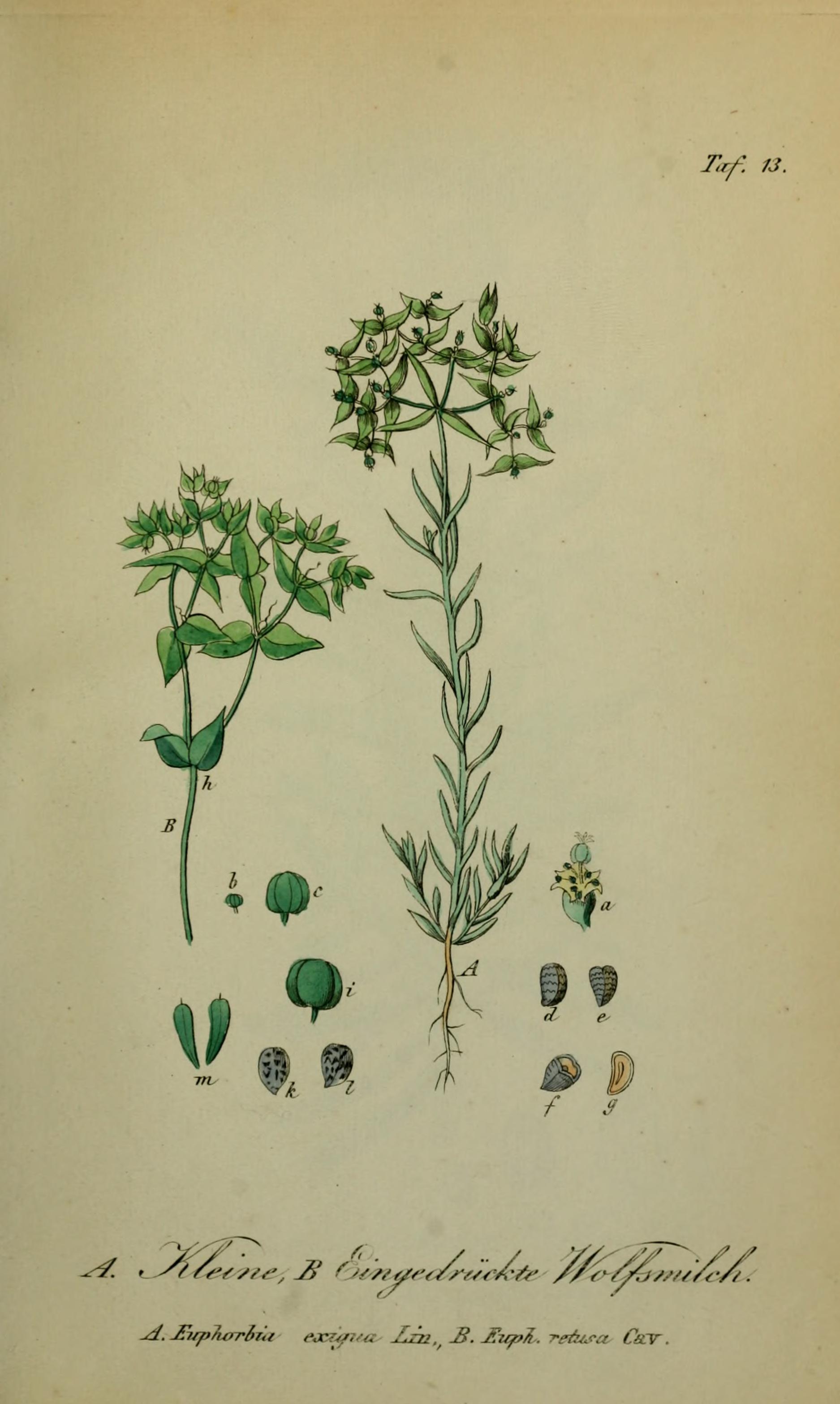 no full size  illustration available (3a)